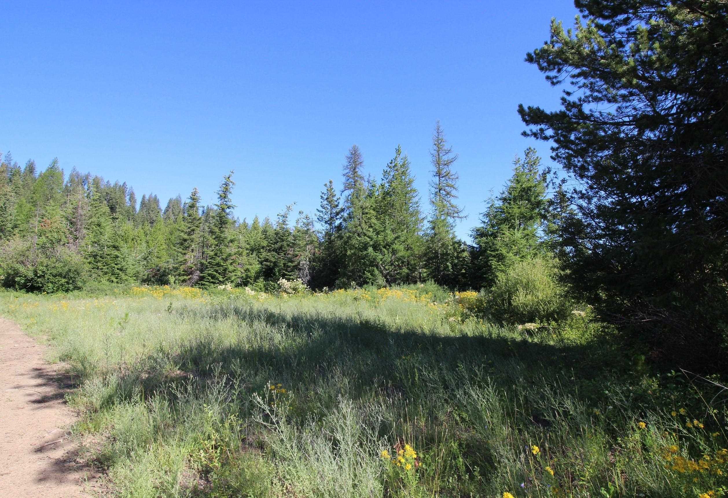 XXX Buck Creek Rd - Photo 3