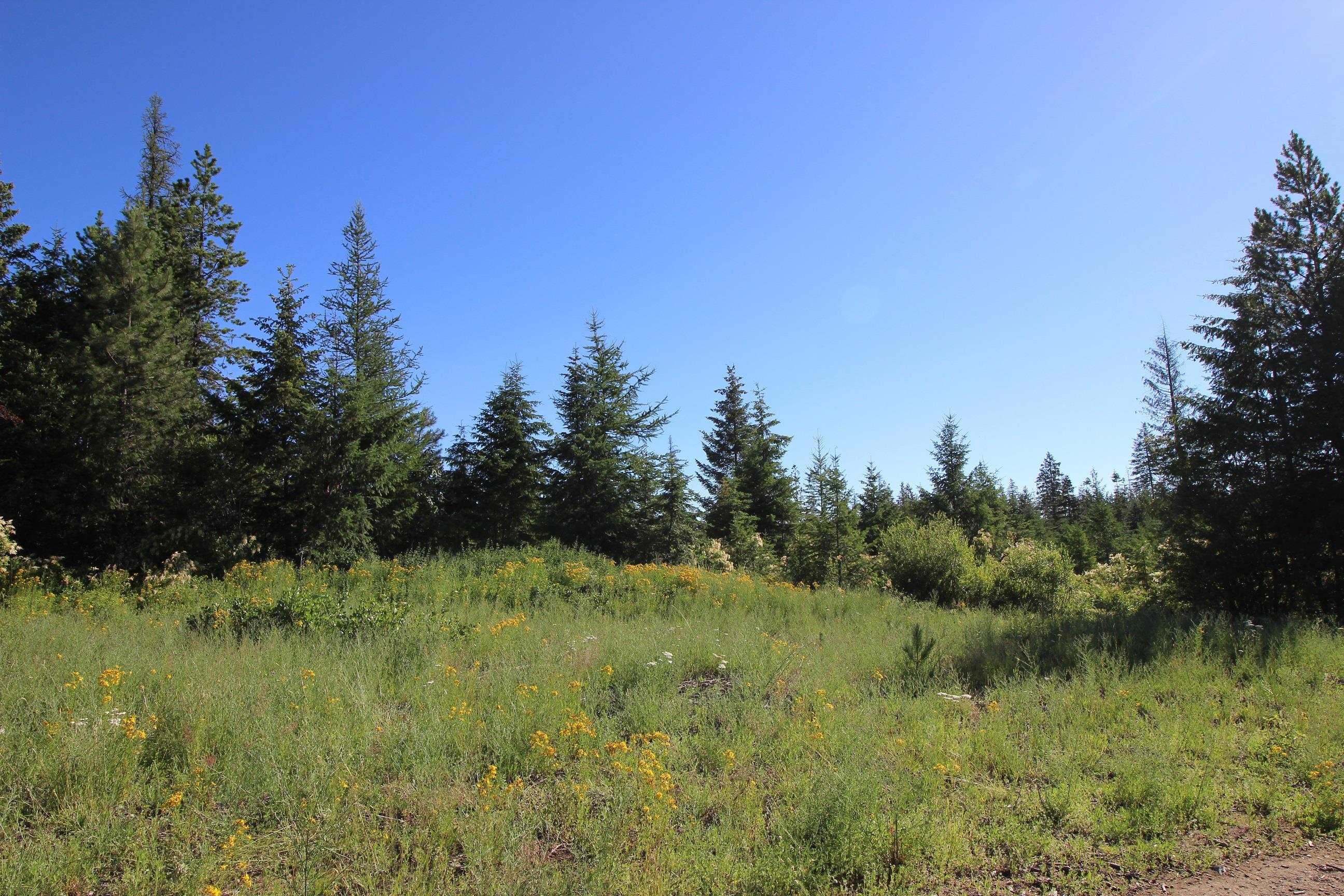XXX Buck Creek Rd - Photo 4