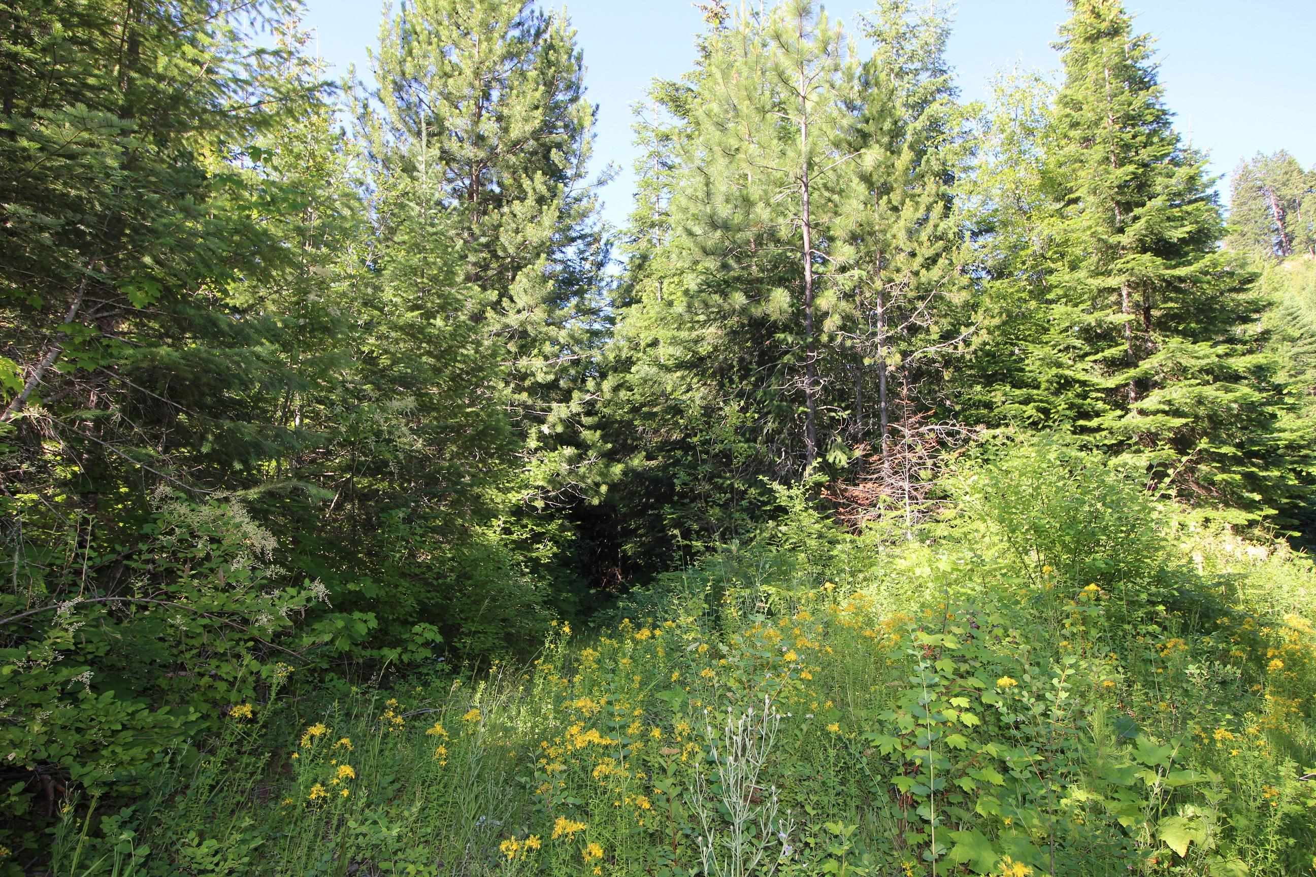 XXX Buck Creek Rd - Photo 6