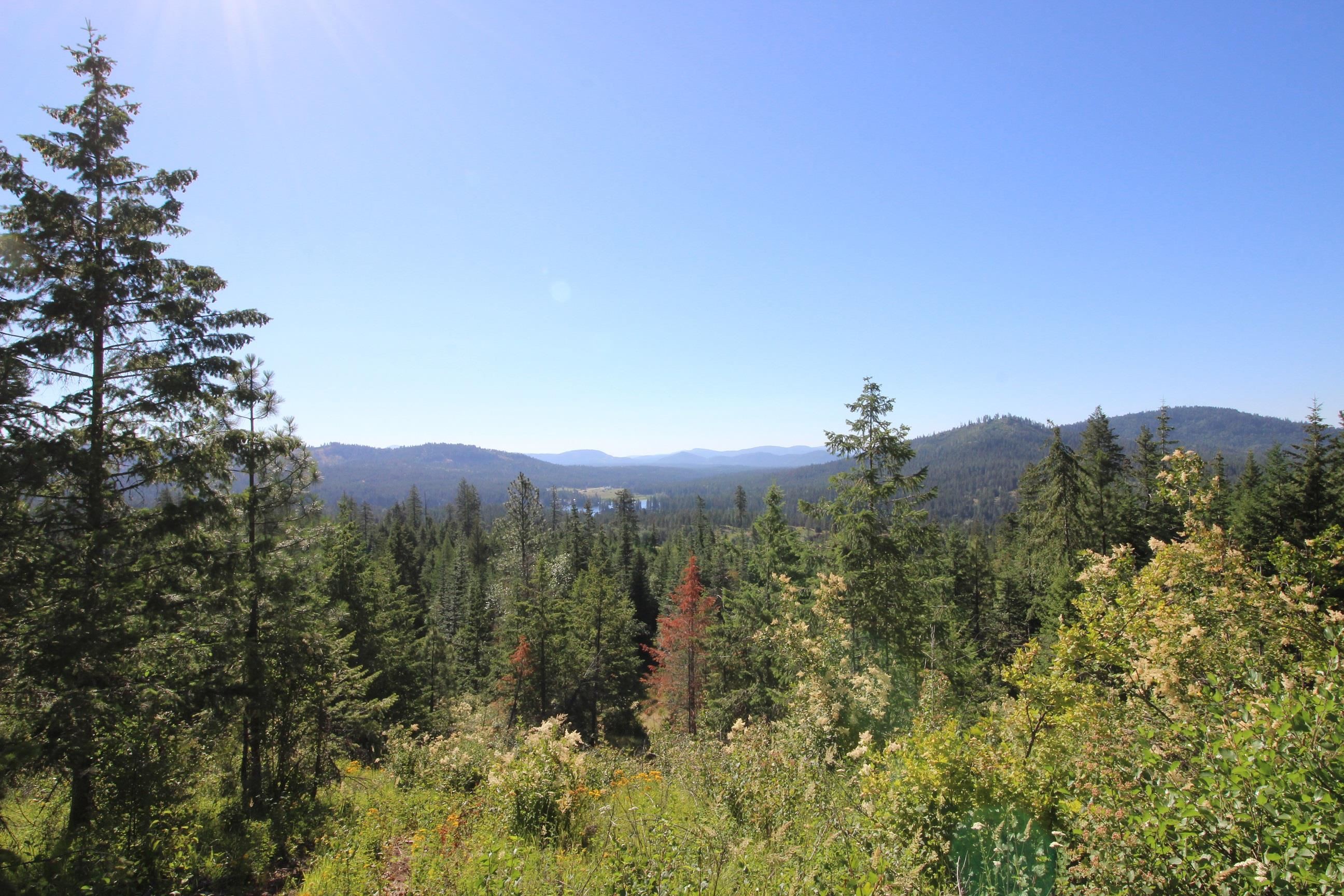 XXX Buck Creek Rd - Photo 7