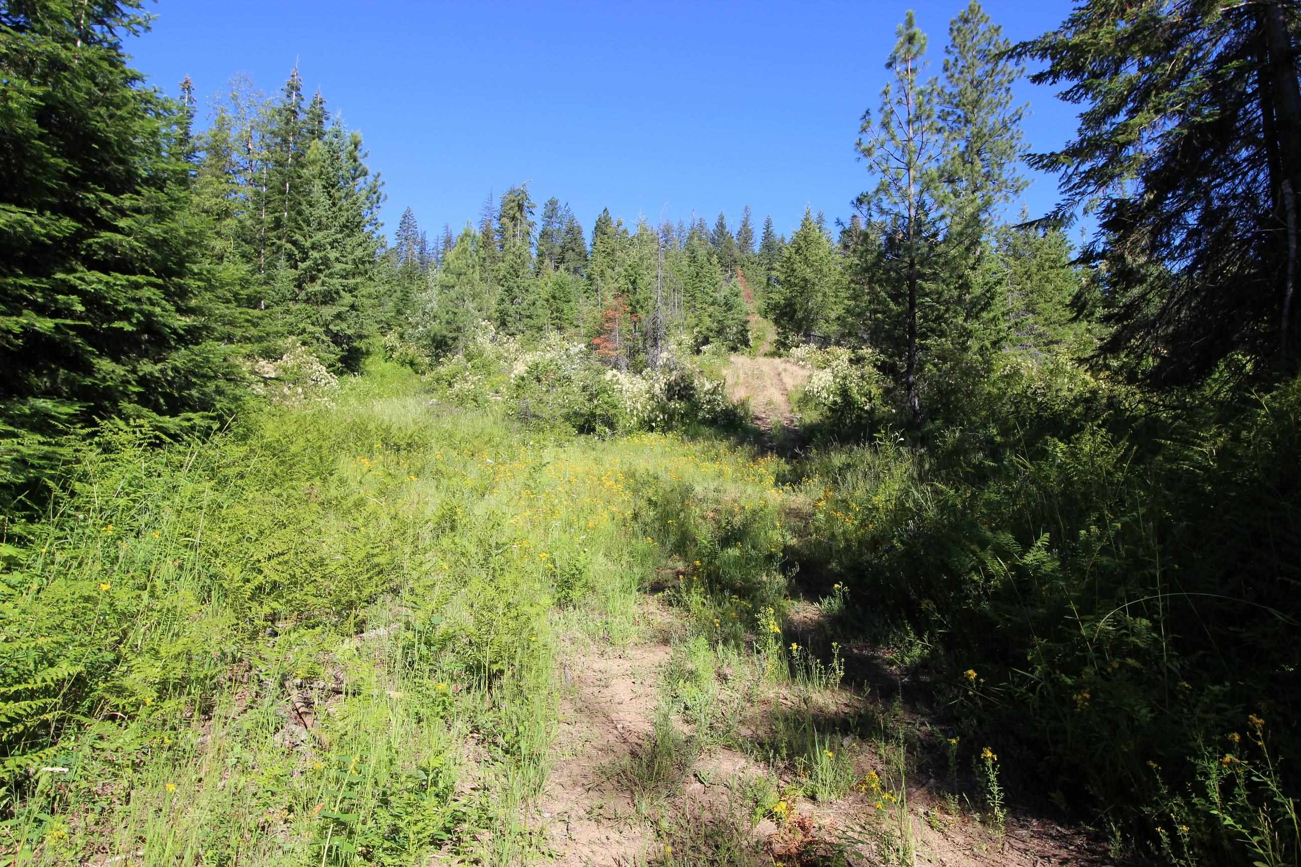 XXX Buck Creek Rd - Photo 8