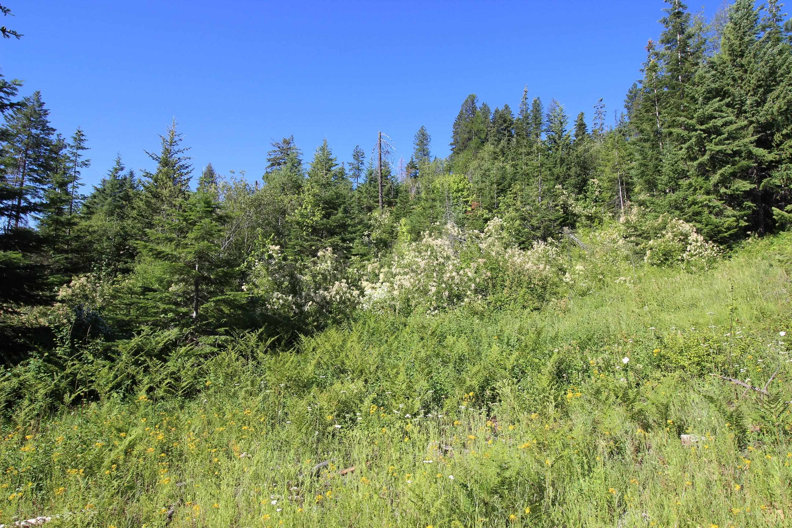 XXX Buck Creek Rd - Photo 9