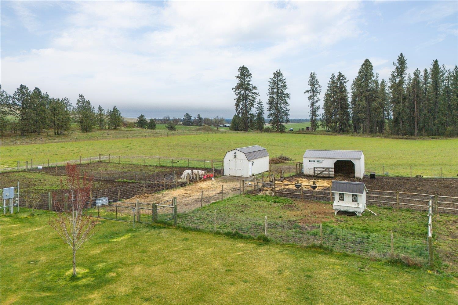 10201 W Jensen Rd - Photo 11