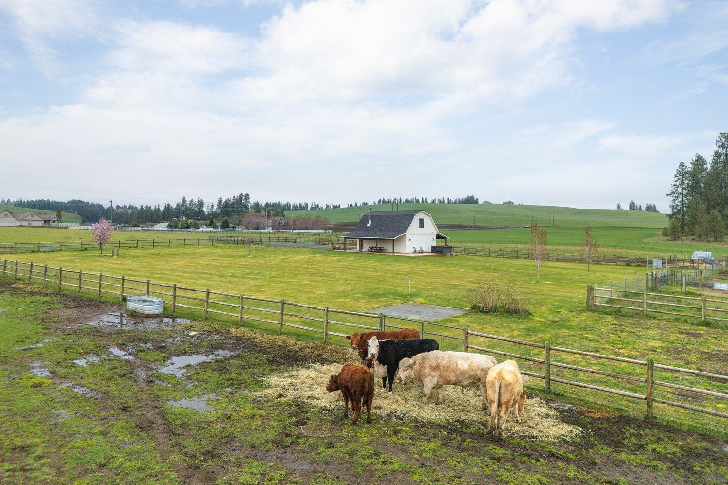 10201 W Jensen Rd - Photo 17