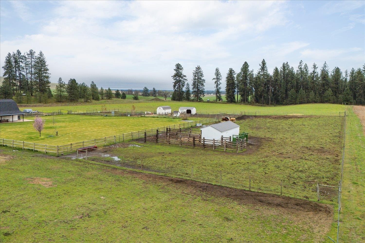 10201 W Jensen Rd - Photo 22