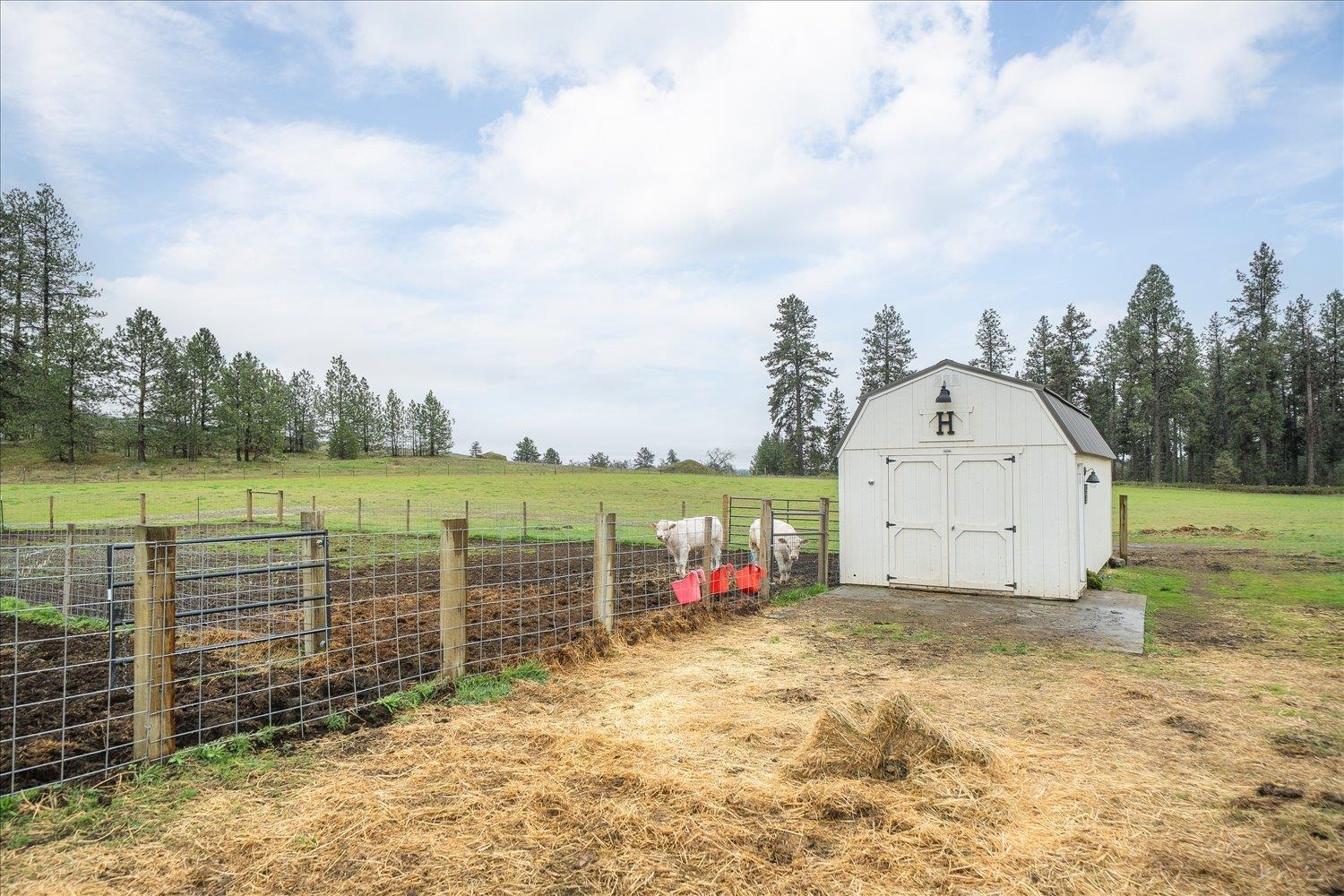 10201 W Jensen Rd - Photo 10