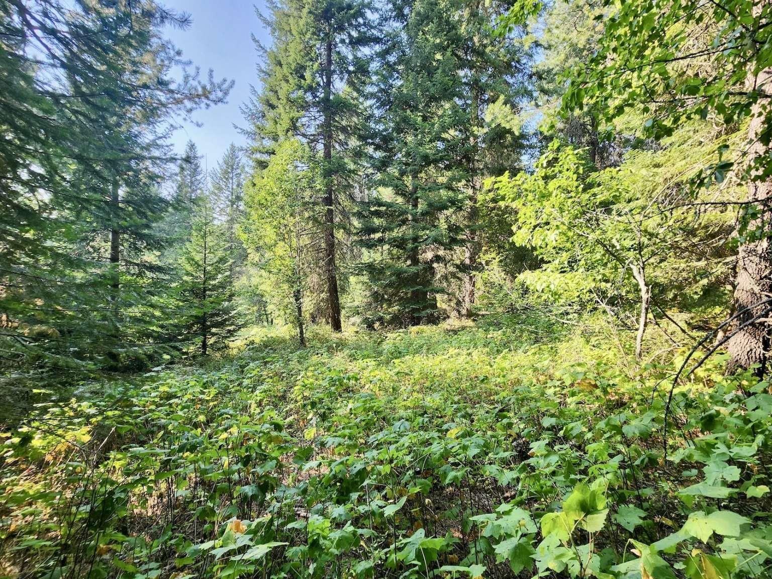 1700 Hershaw Rd - Photo 21