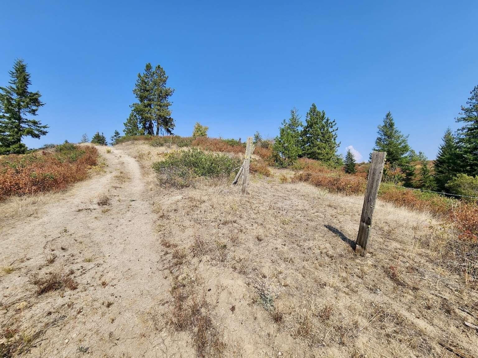 1700 Hershaw Rd - Photo 24