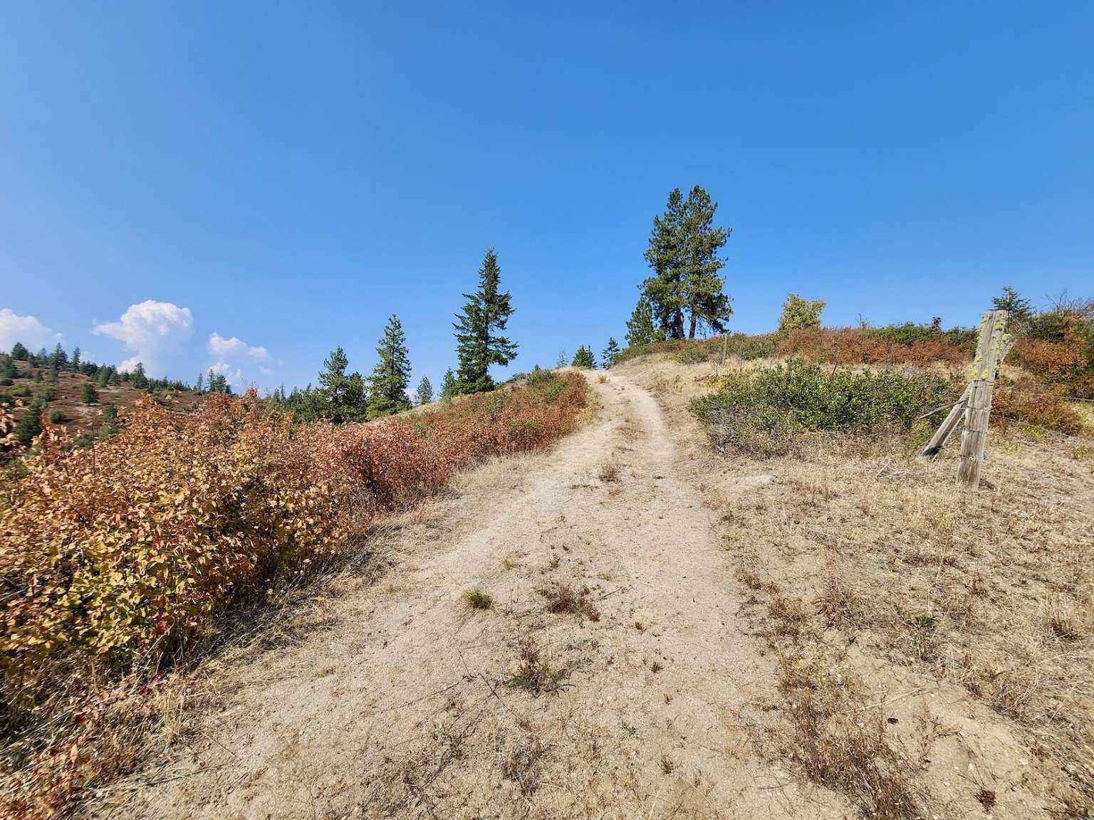 1700 Hershaw Rd - Photo 27