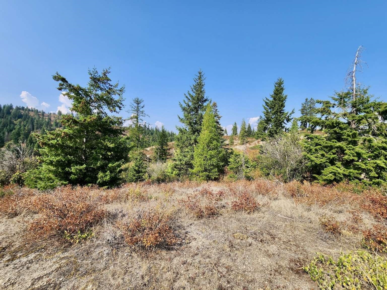 1700 Hershaw Rd - Photo 28