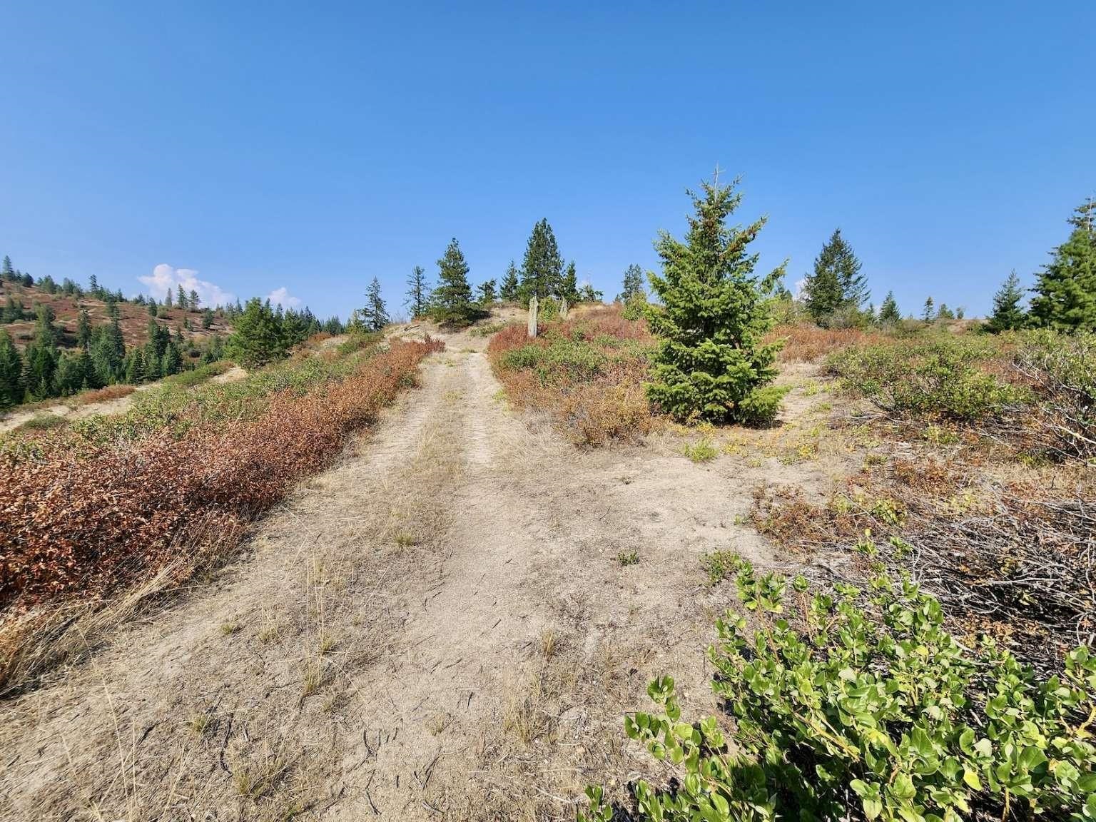 1700 Hershaw Rd - Photo 32