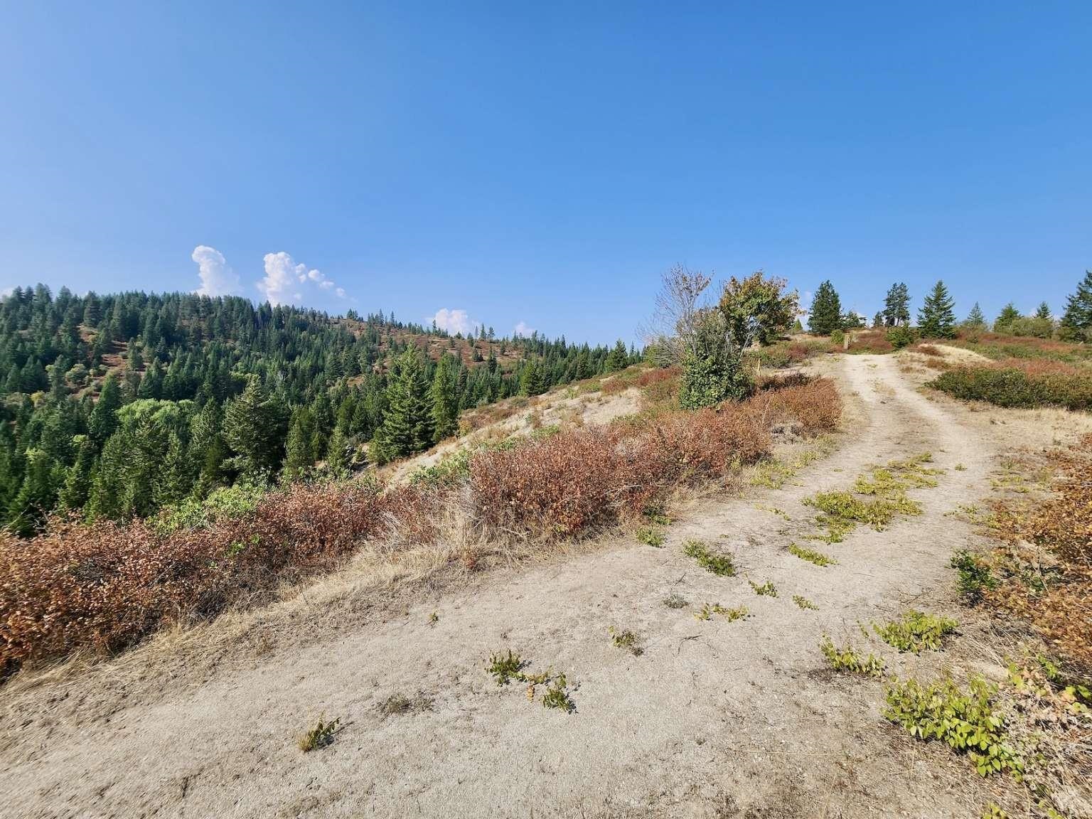 1700 Hershaw Rd - Photo 33