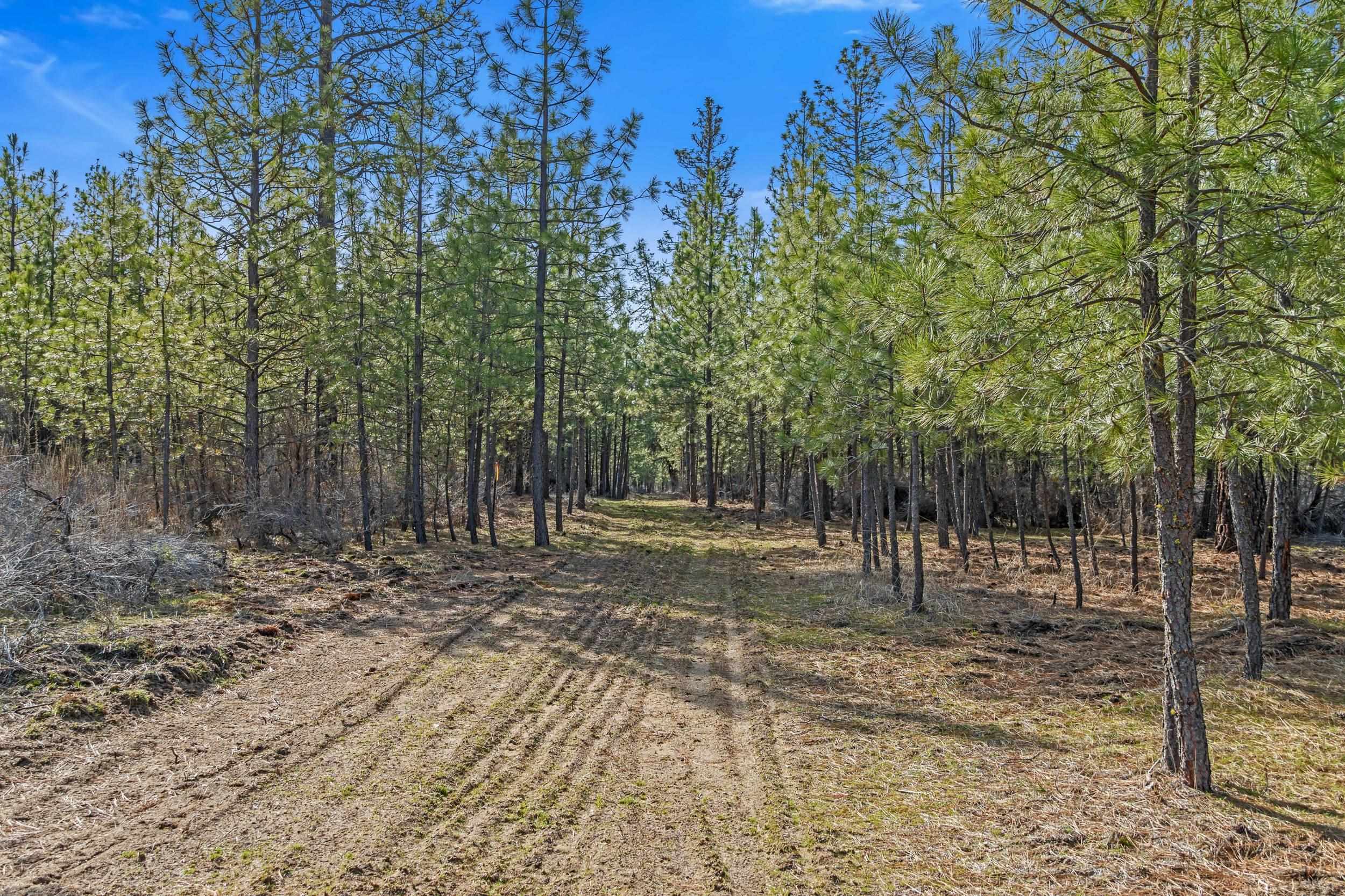 38800 E Sand Flats Dr - Photo 11