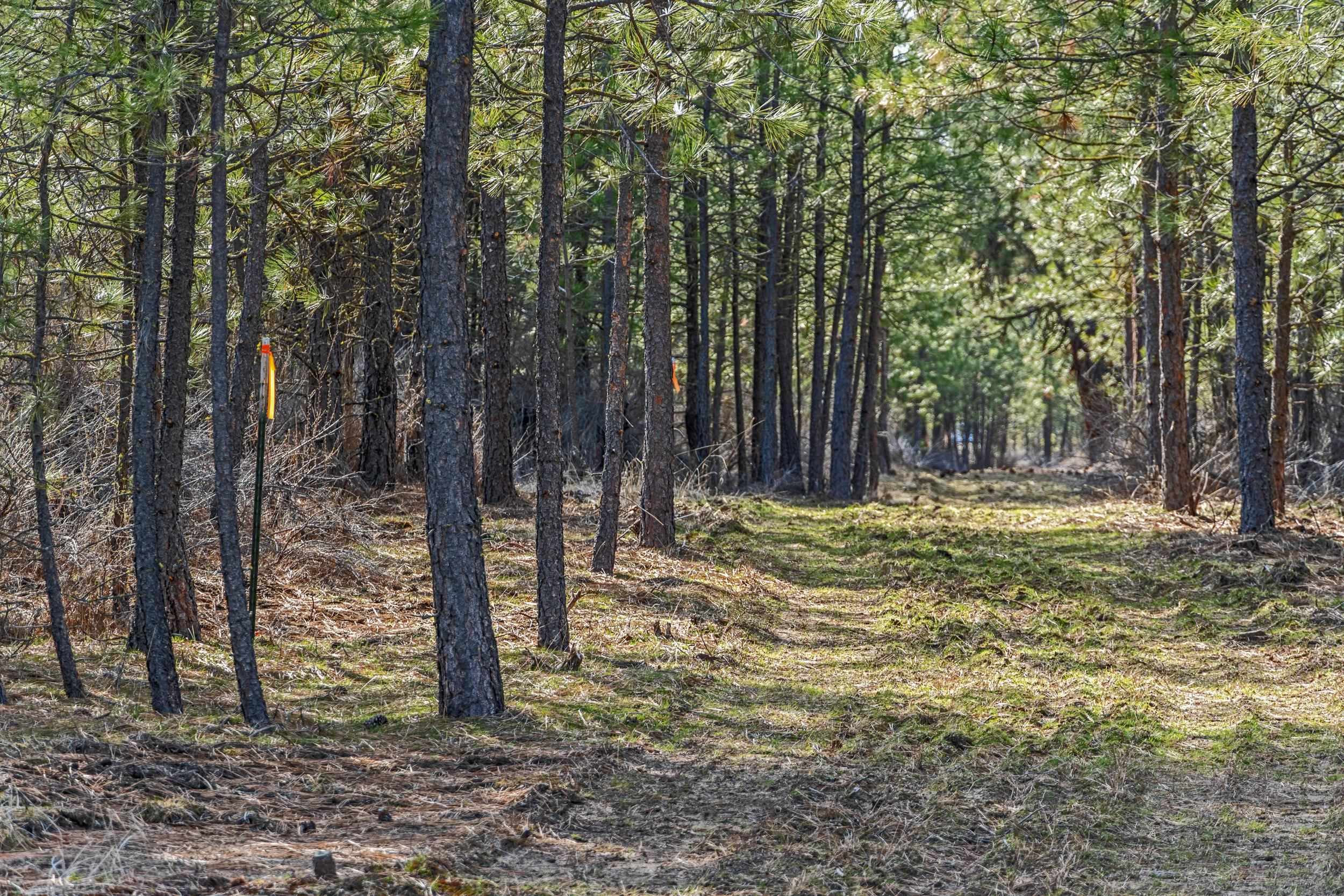38800 E Sand Flats Dr - Photo 12