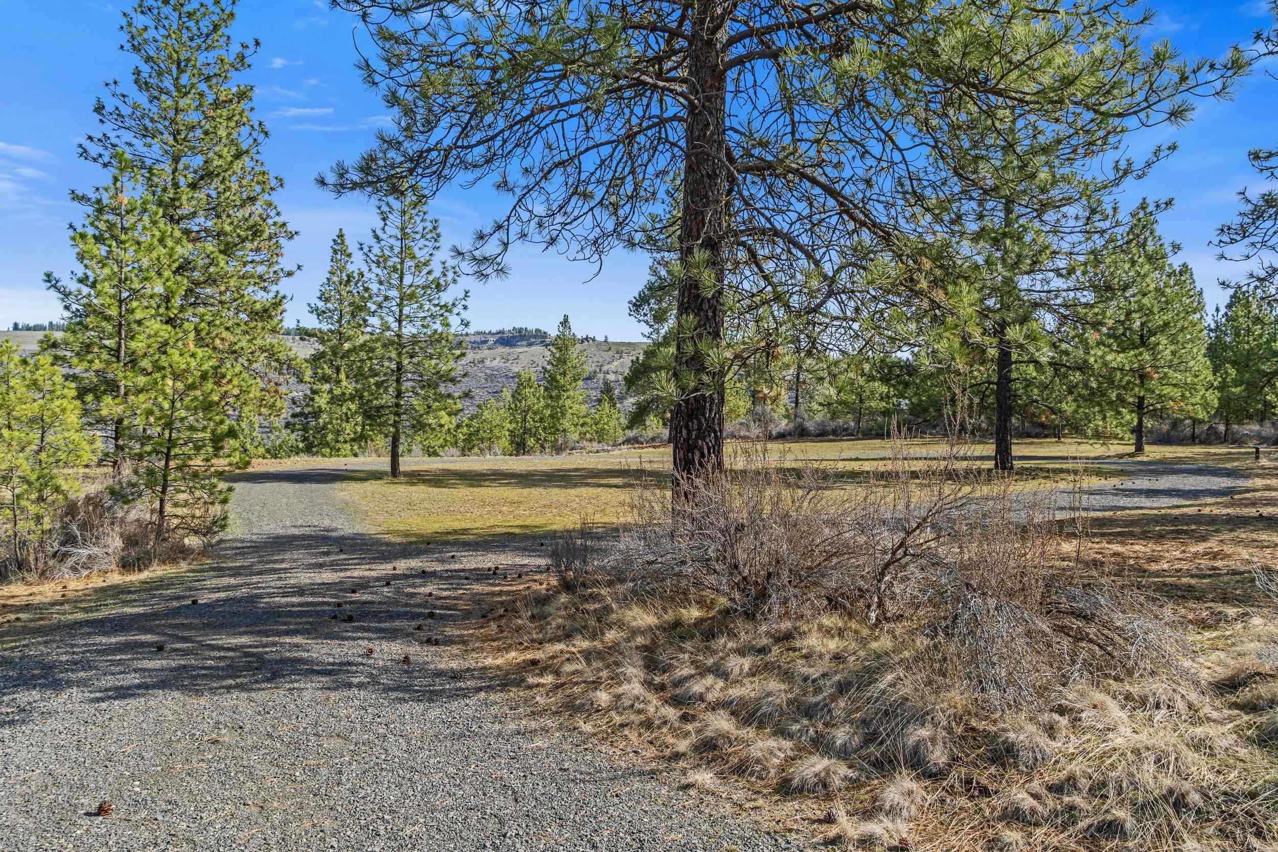 38800 E Sand Flats Dr - Photo 3