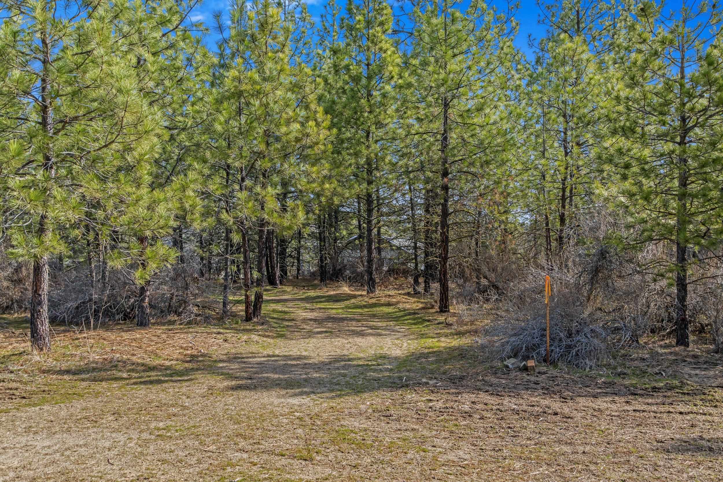38800 E Sand Flats Dr - Photo 5