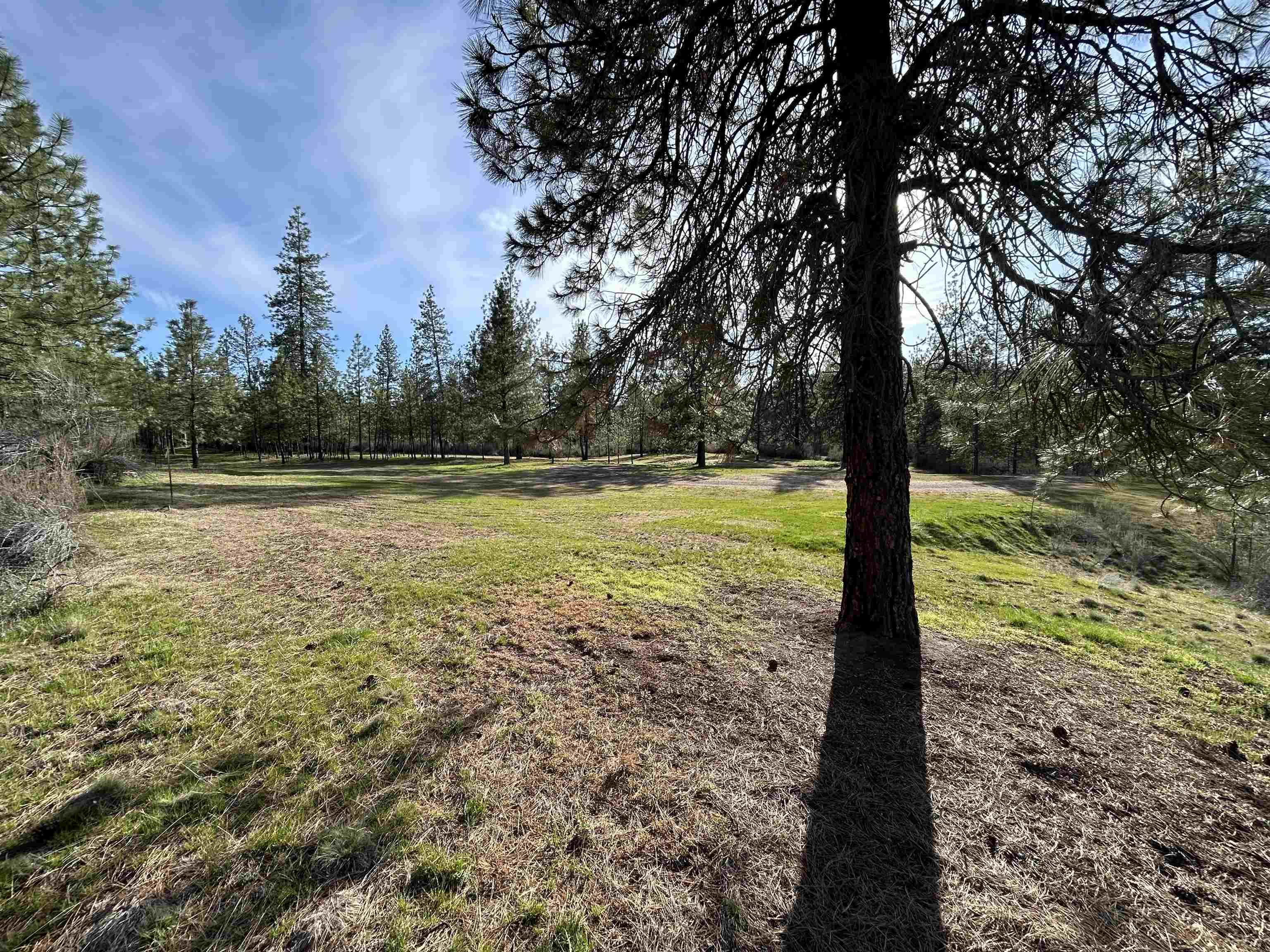 38800 E Sand Flats Dr - Photo 7