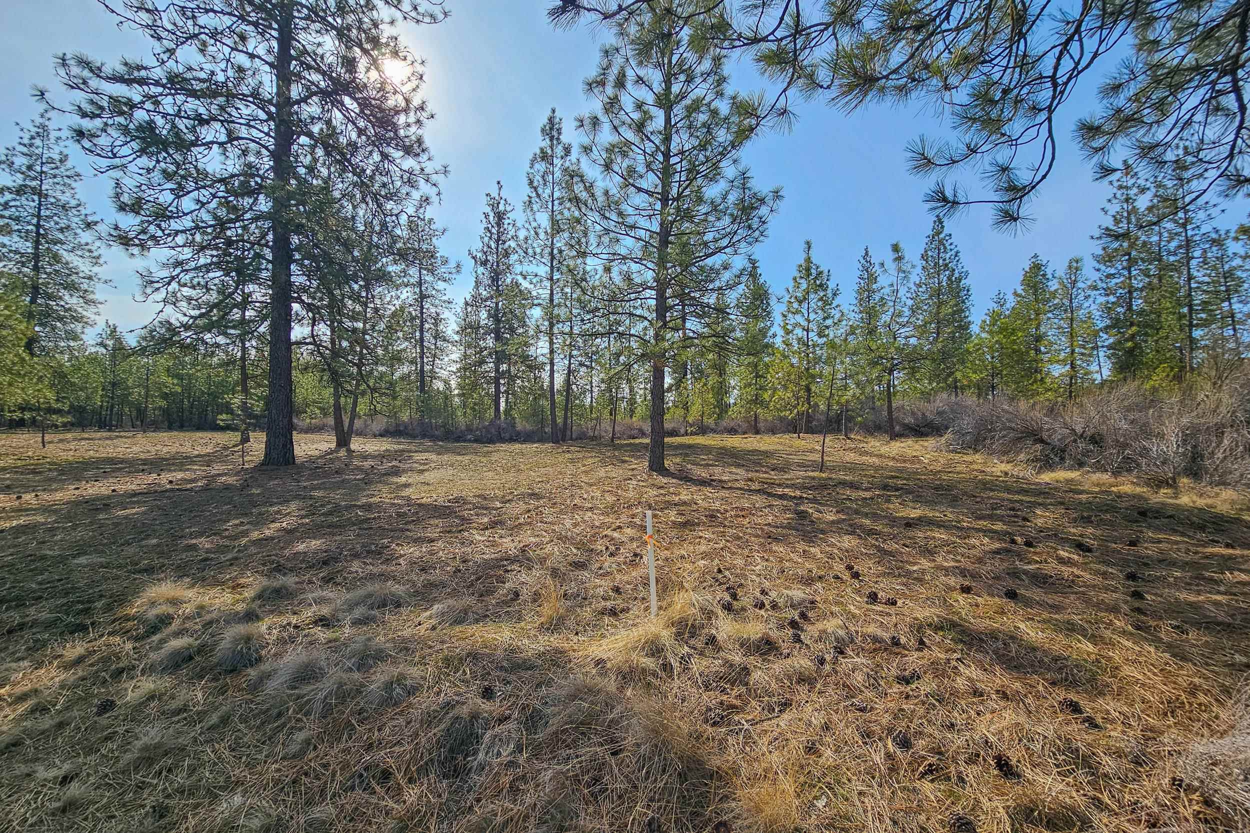 38800 E Sand Flats Dr - Photo 8