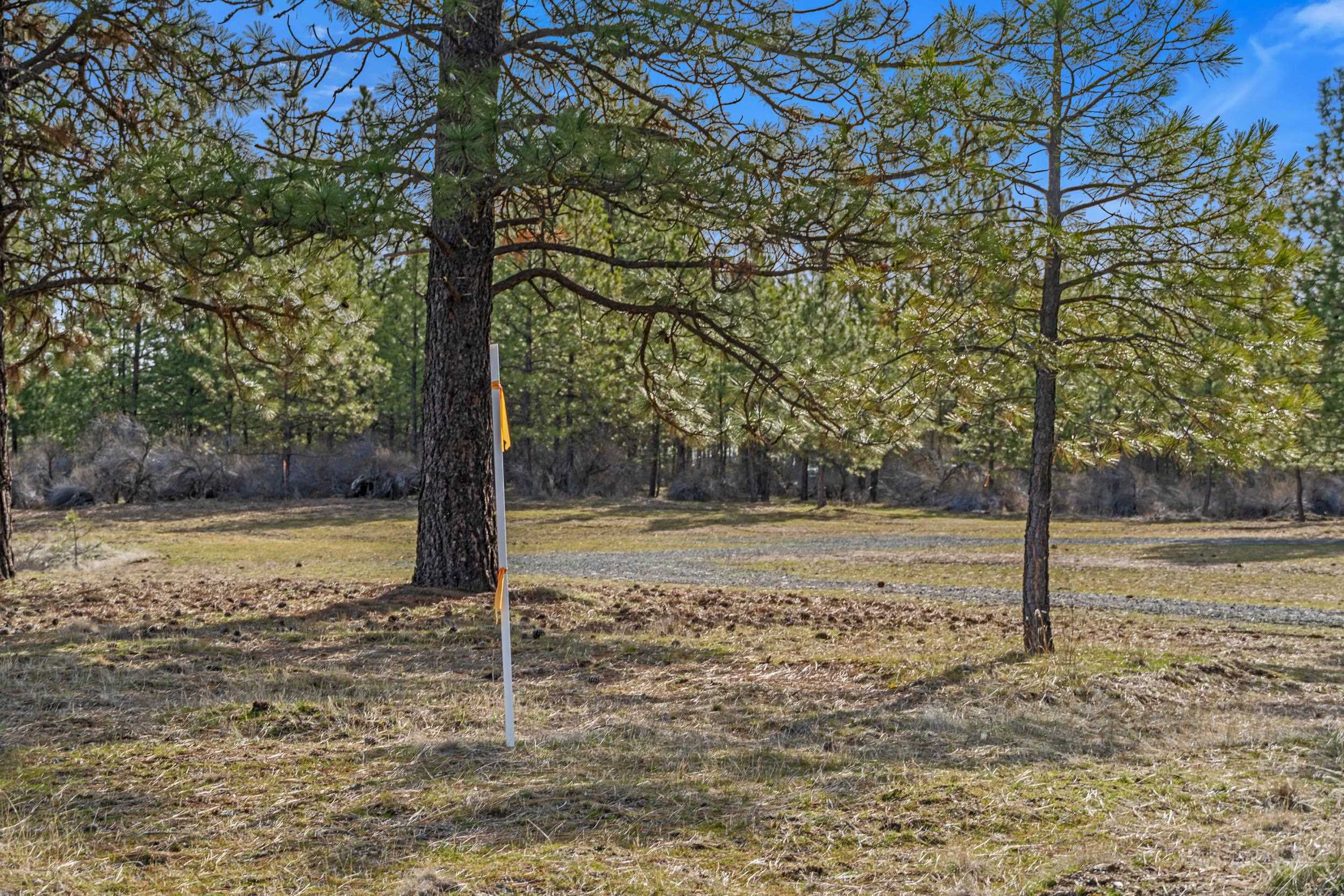 38800 E Sand Flats Dr - Photo 9