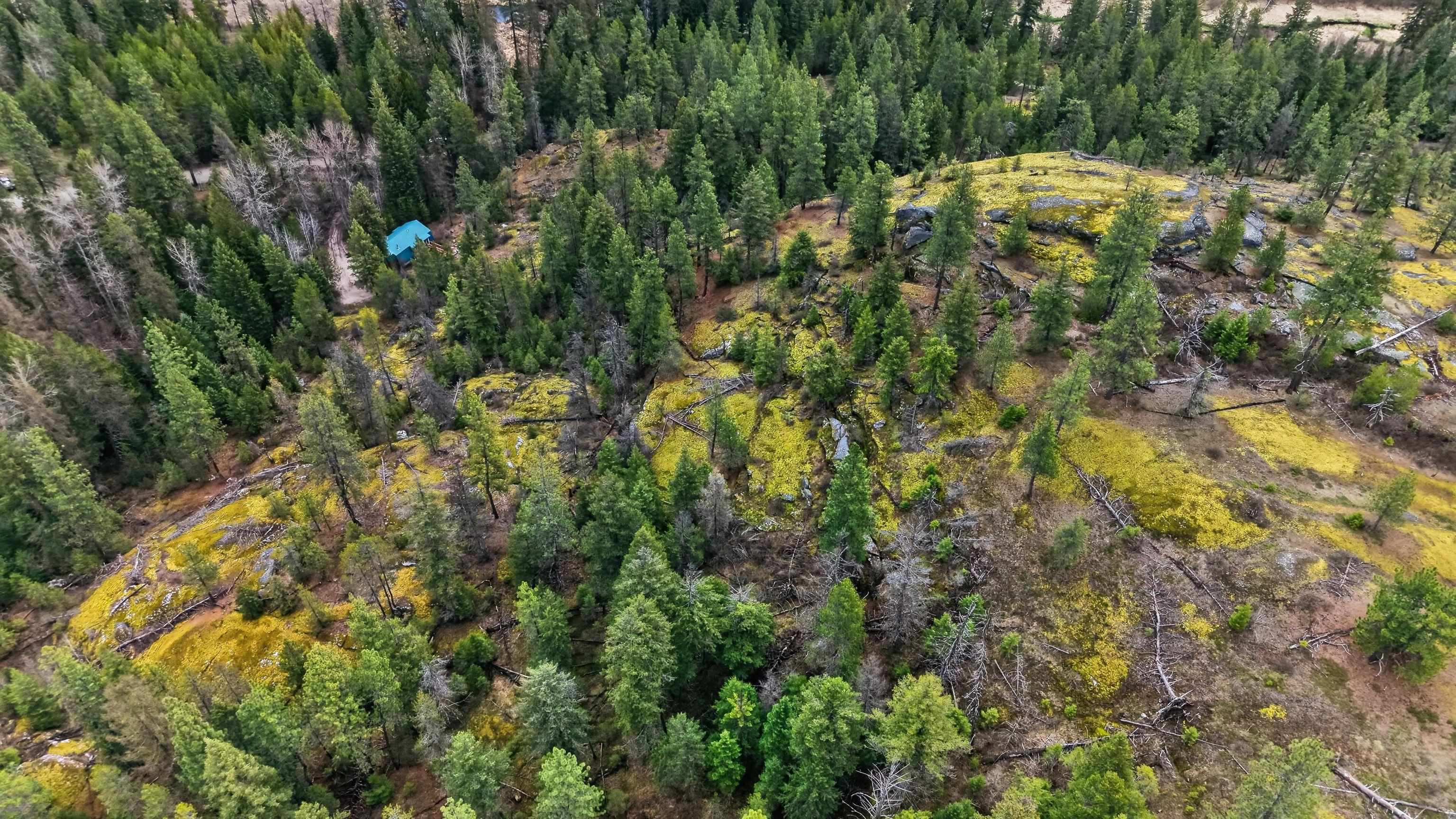 22 Elk Rd - Photo 10