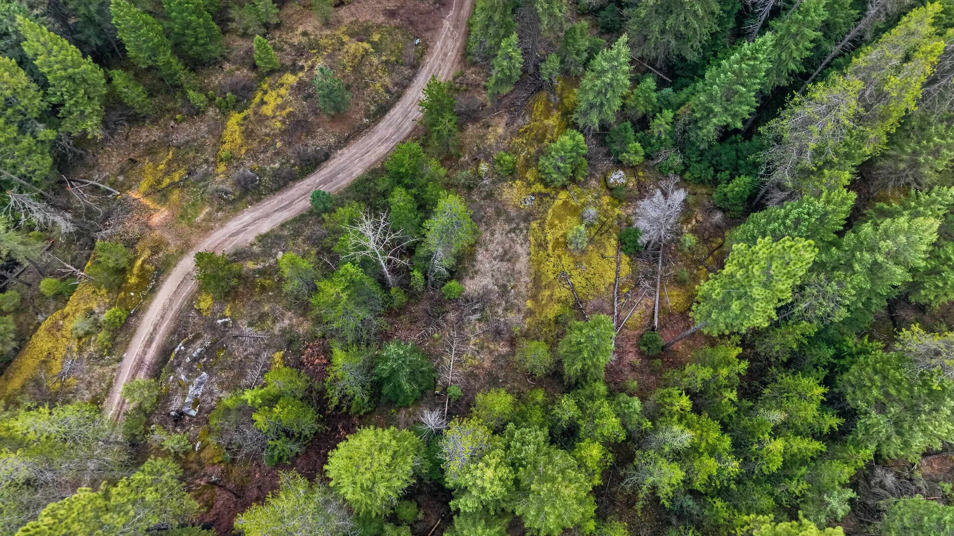 NNA Elk Rd - Photo 17