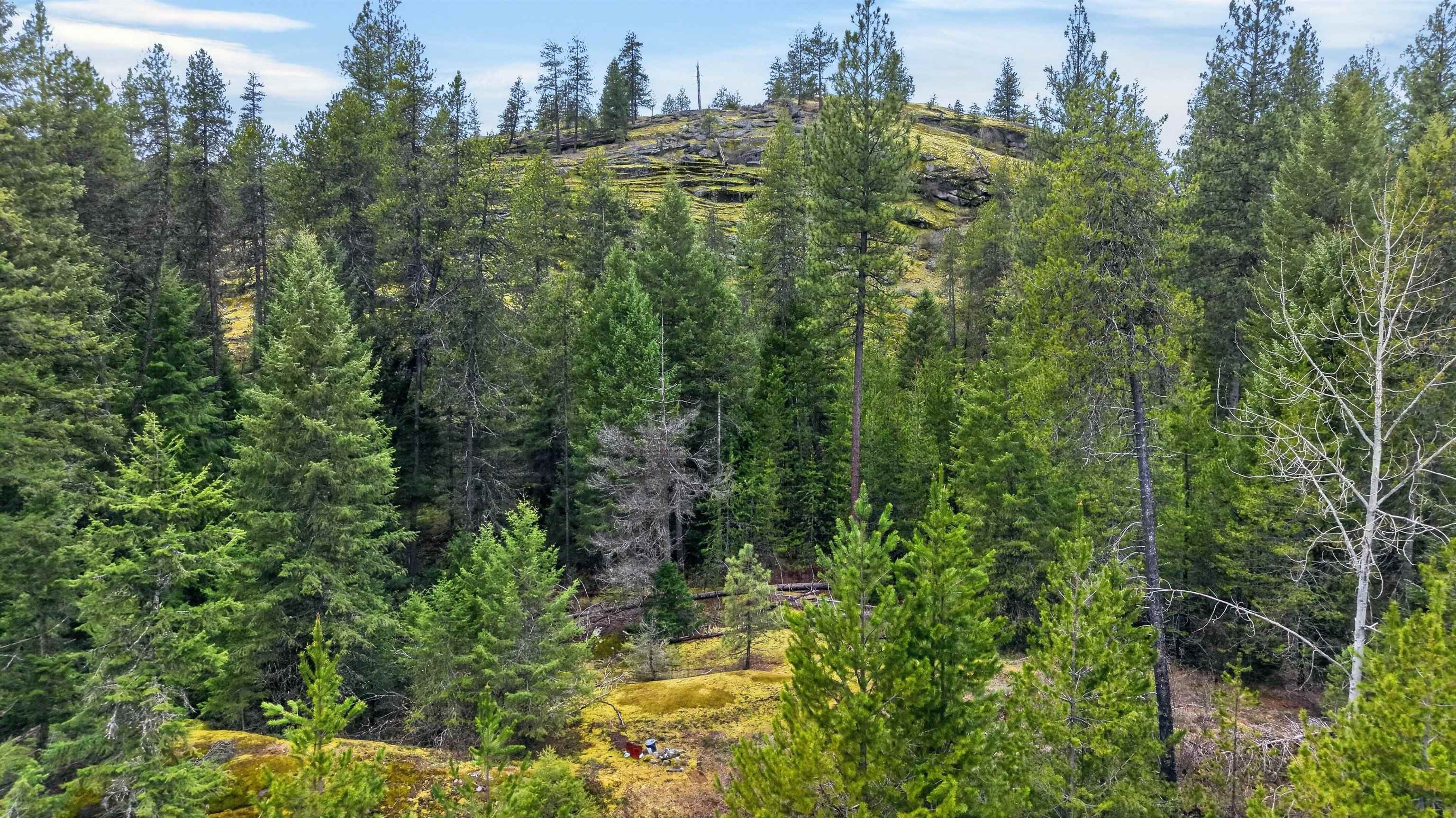NNA Elk Rd - Photo 18
