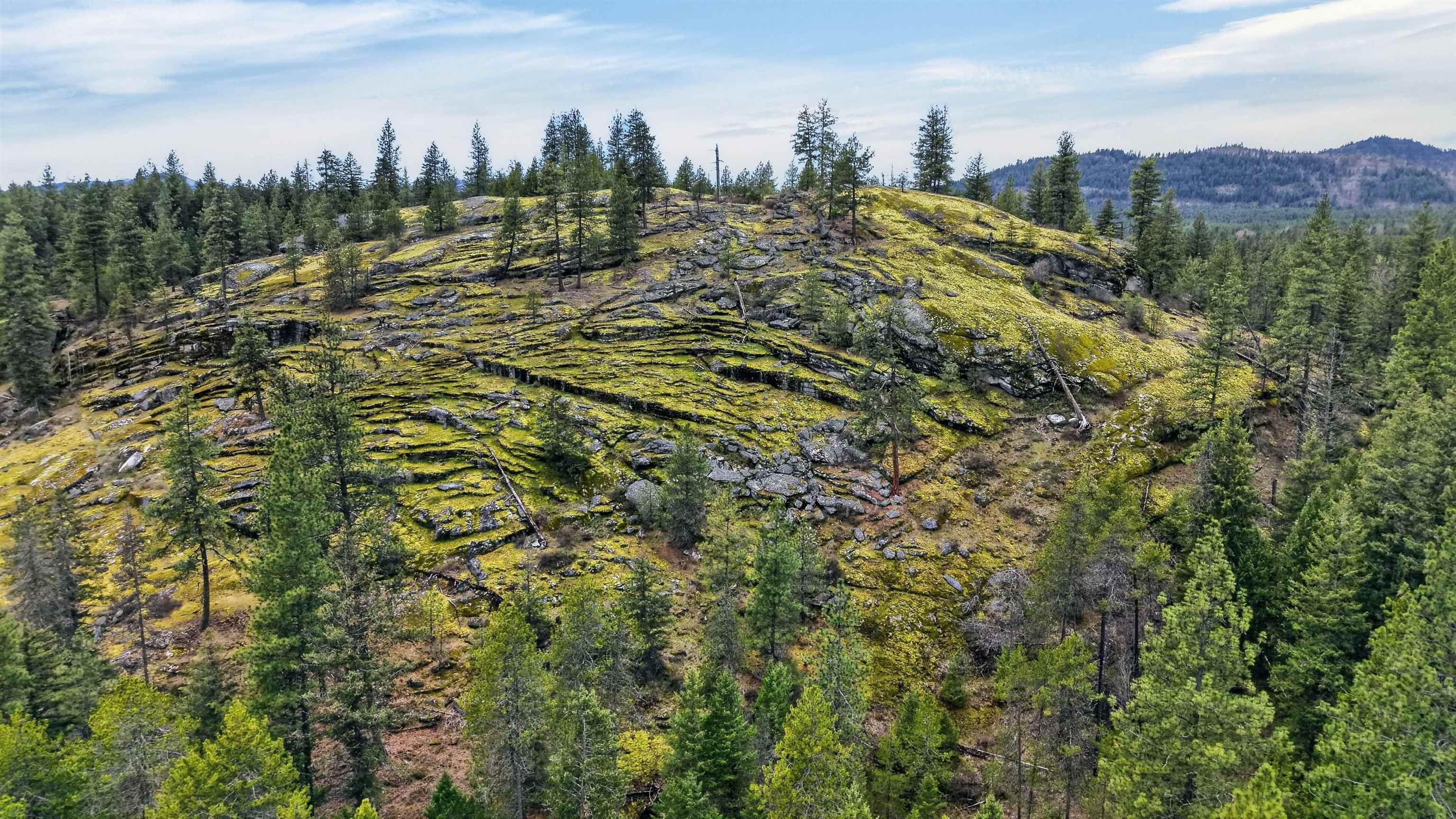 NNA Elk Rd - Photo 20
