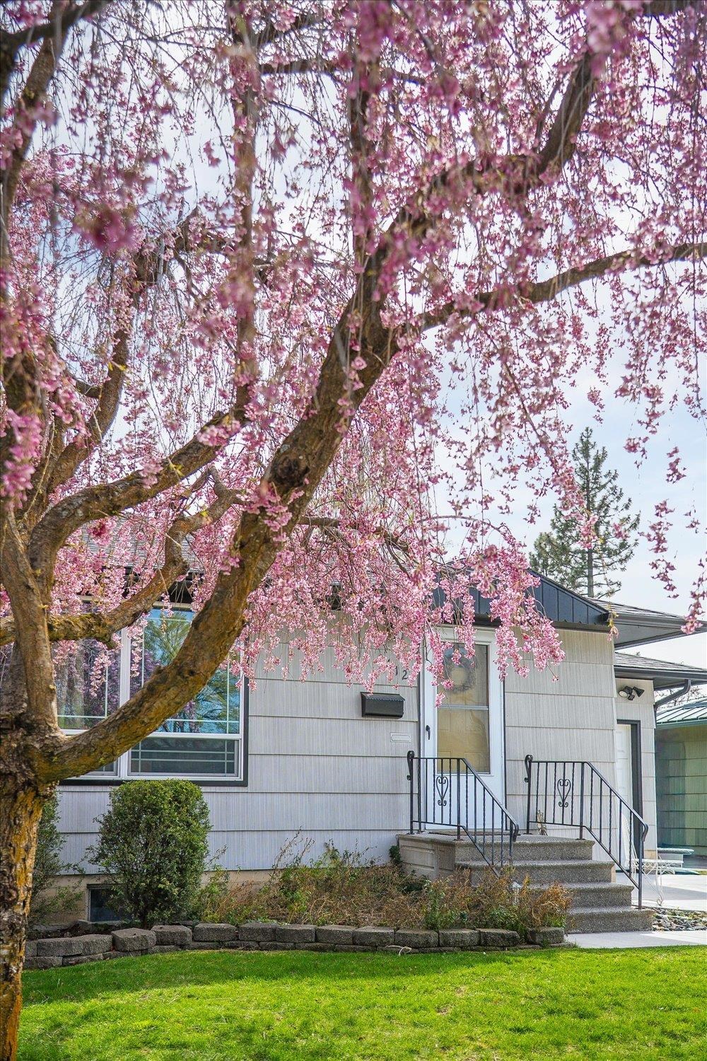 3612 E Congress Ave - Photo 4