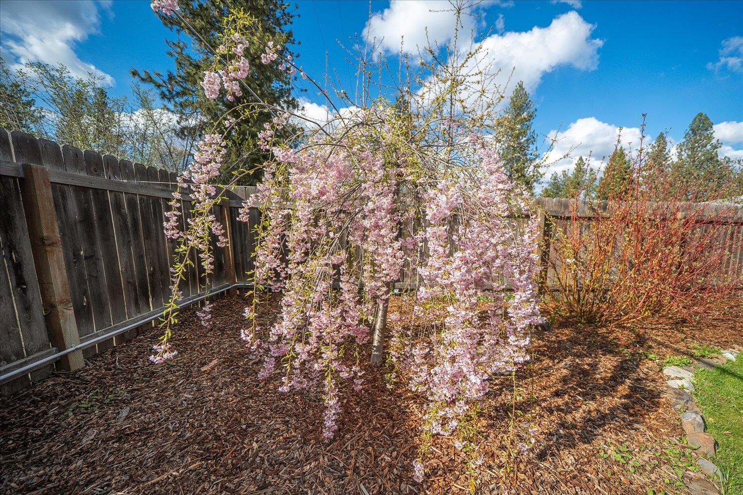 6713 N Stevens St - Photo 33