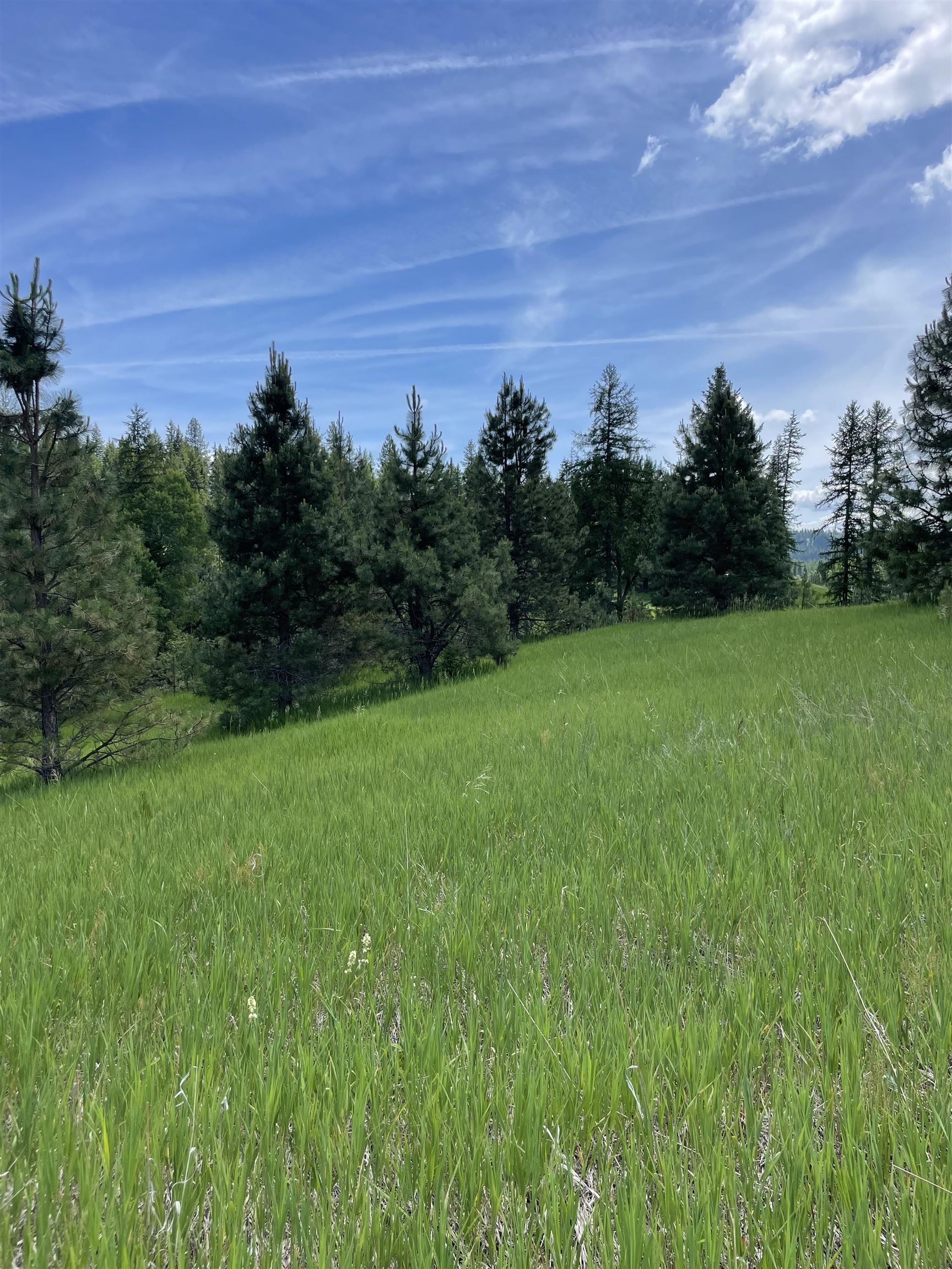 4435 Whittier (Lot 3) Rd - Photo 1