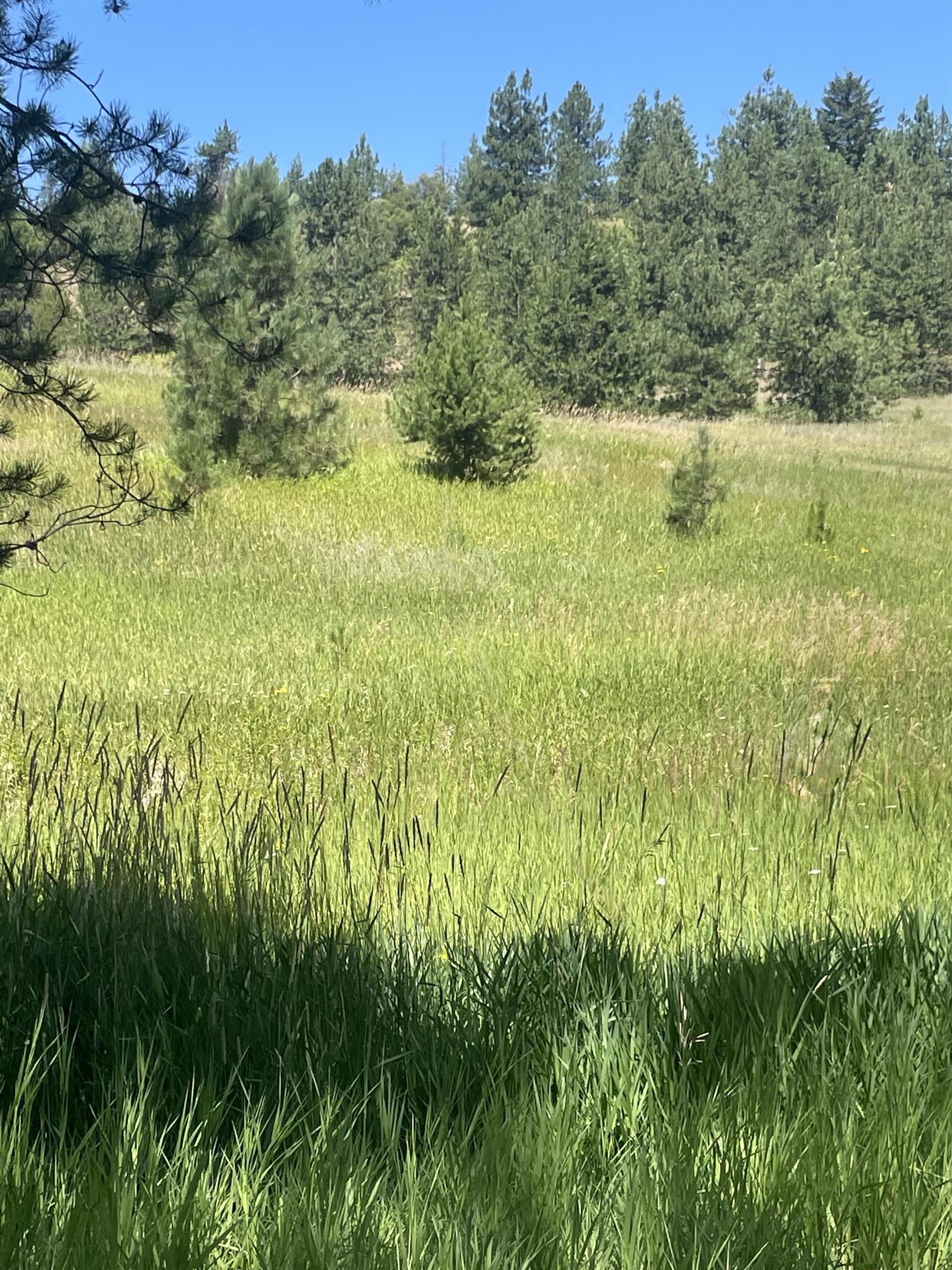 4435 Whittier (Lot 3) Rd - Photo 9