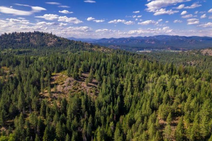 2157/2262 McCloud Creek Rd - Photo 2