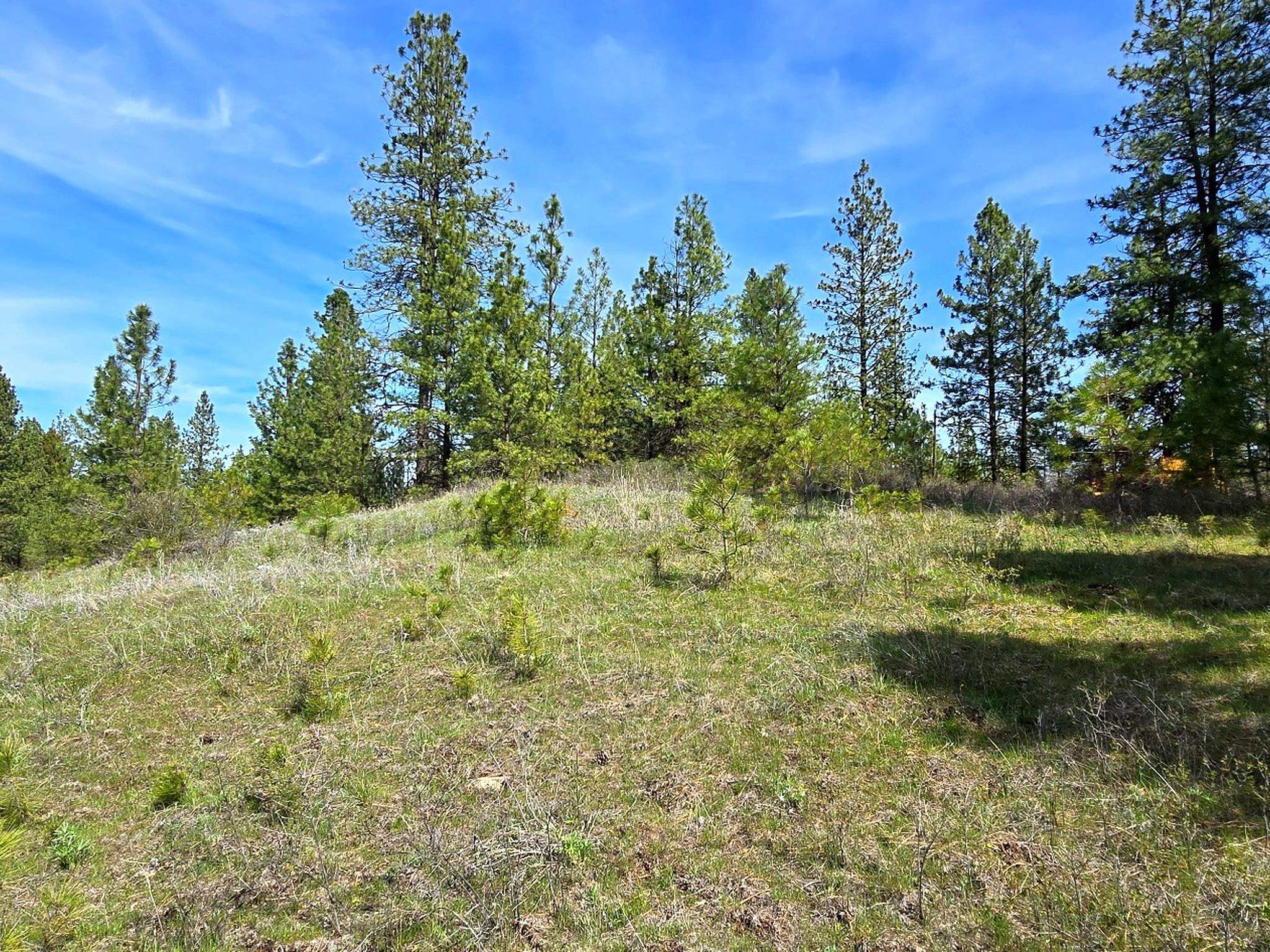44xx Coles Barn Way - Photo 12