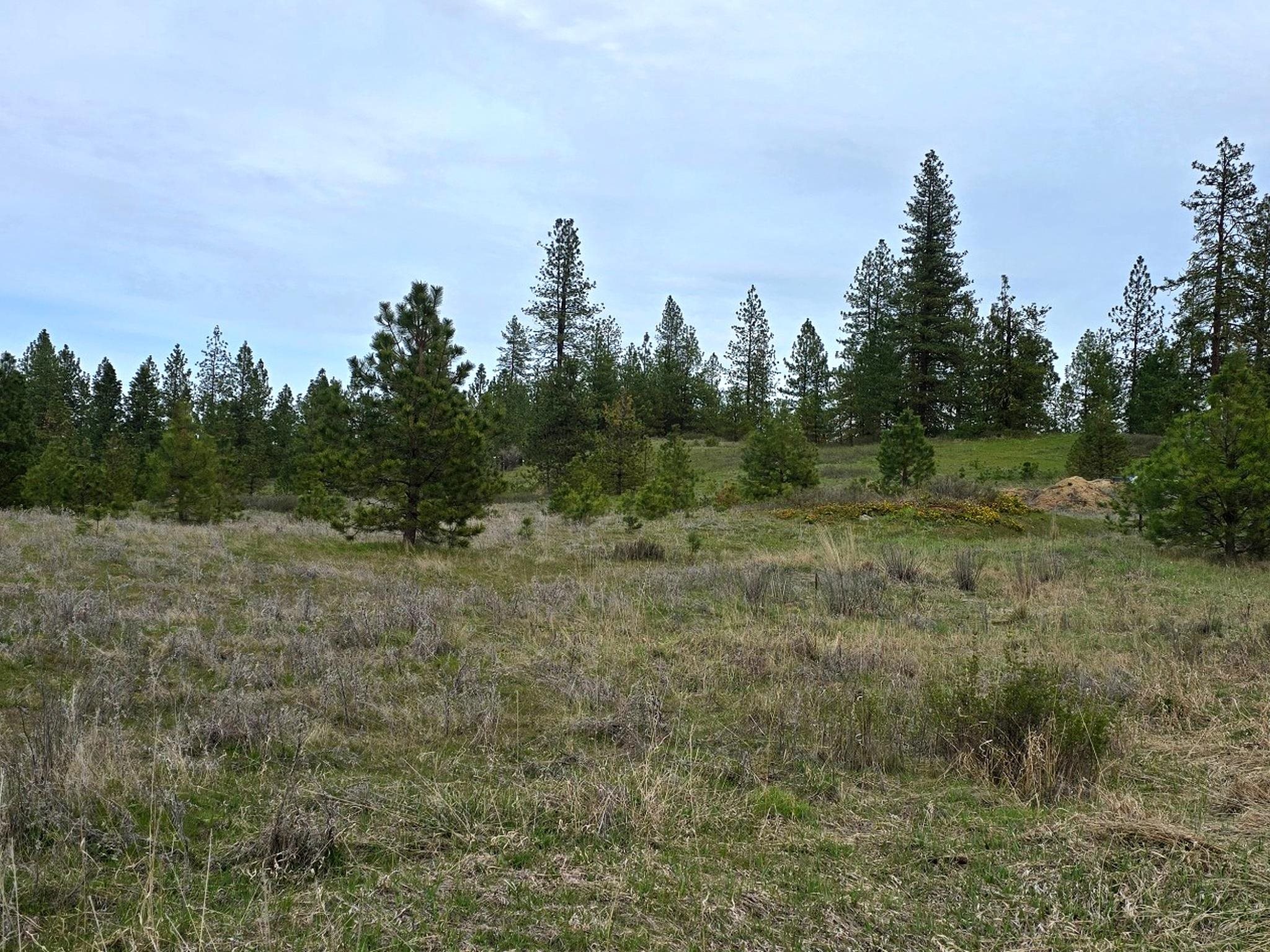 44xx Coles Barn Way - Photo 13