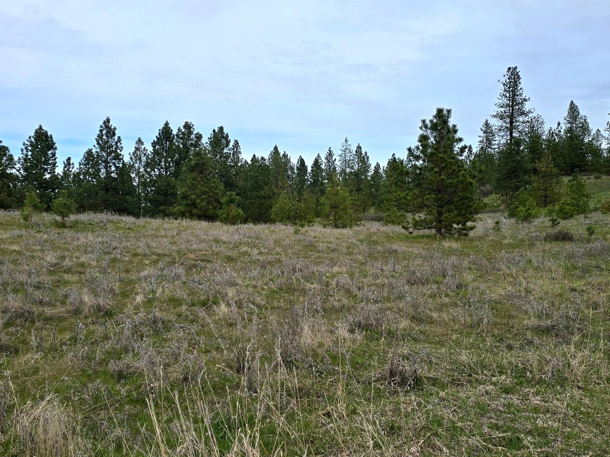 44xx Coles Barn Way - Photo 14