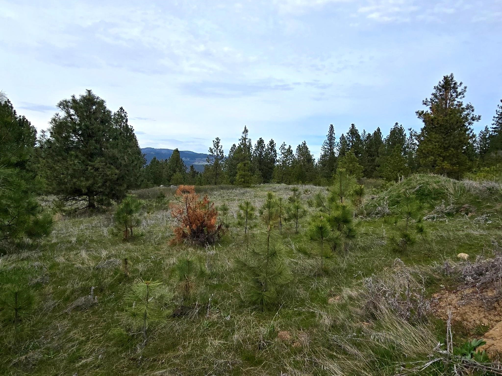 44xx Coles Barn Way - Photo 15