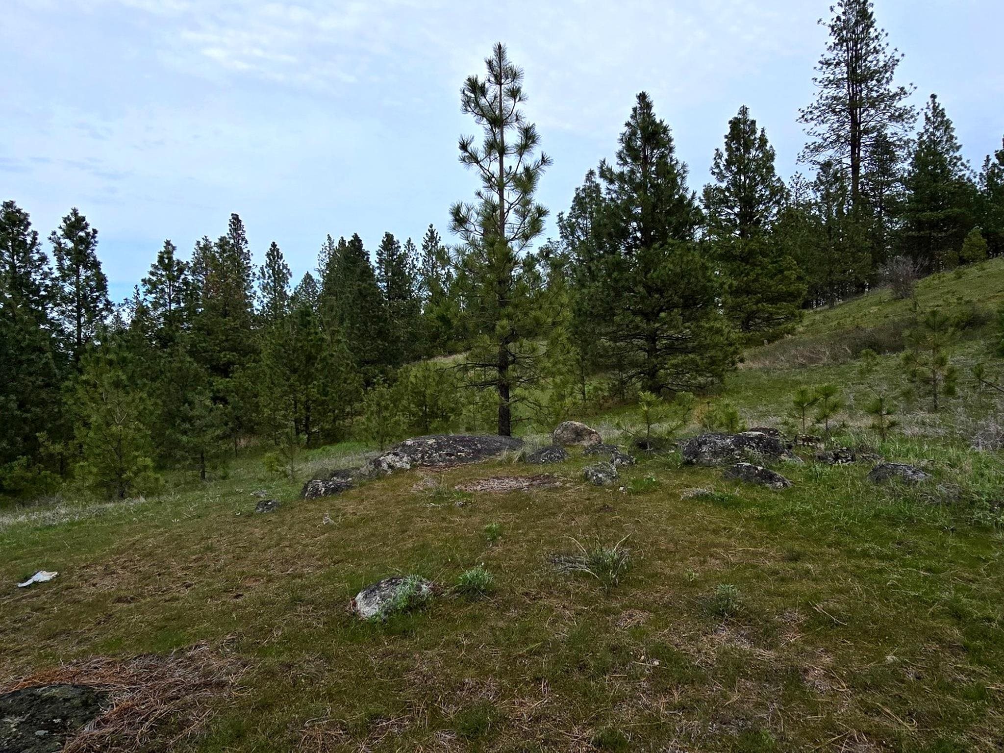 44xx Coles Barn Way - Photo 16