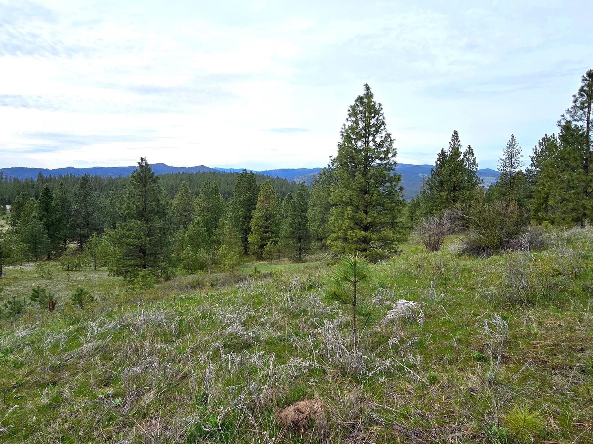 44xx Coles Barn Way - Photo 17