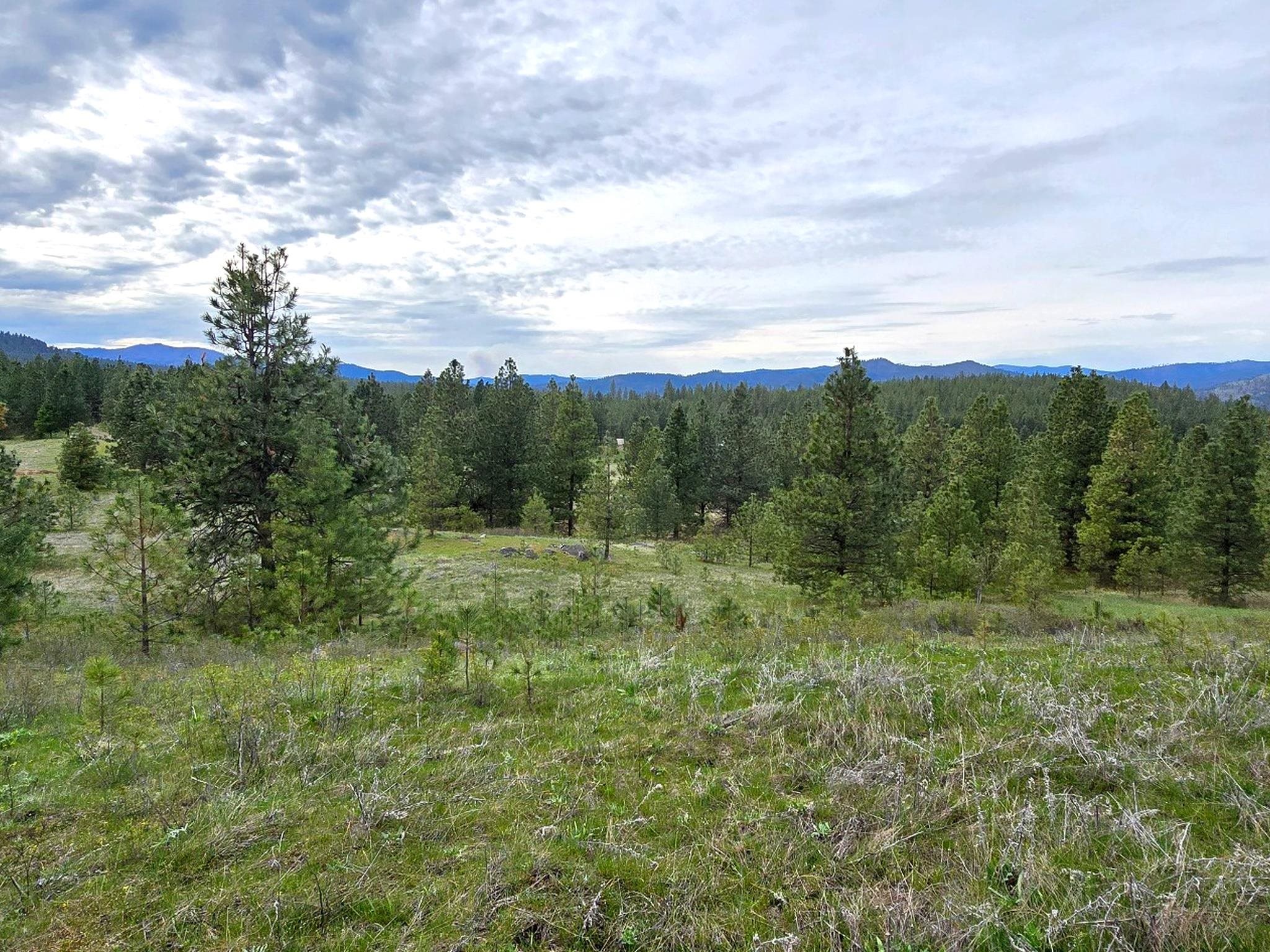 44xx Coles Barn Way - Photo 18