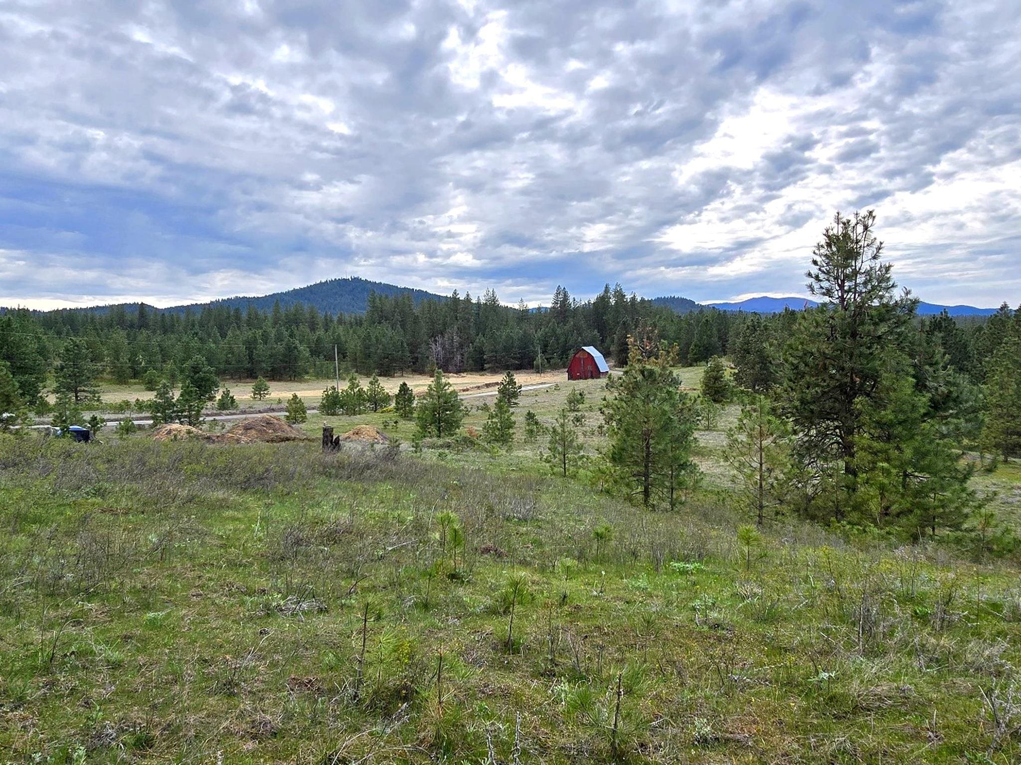 44xx Coles Barn Way - Photo 19