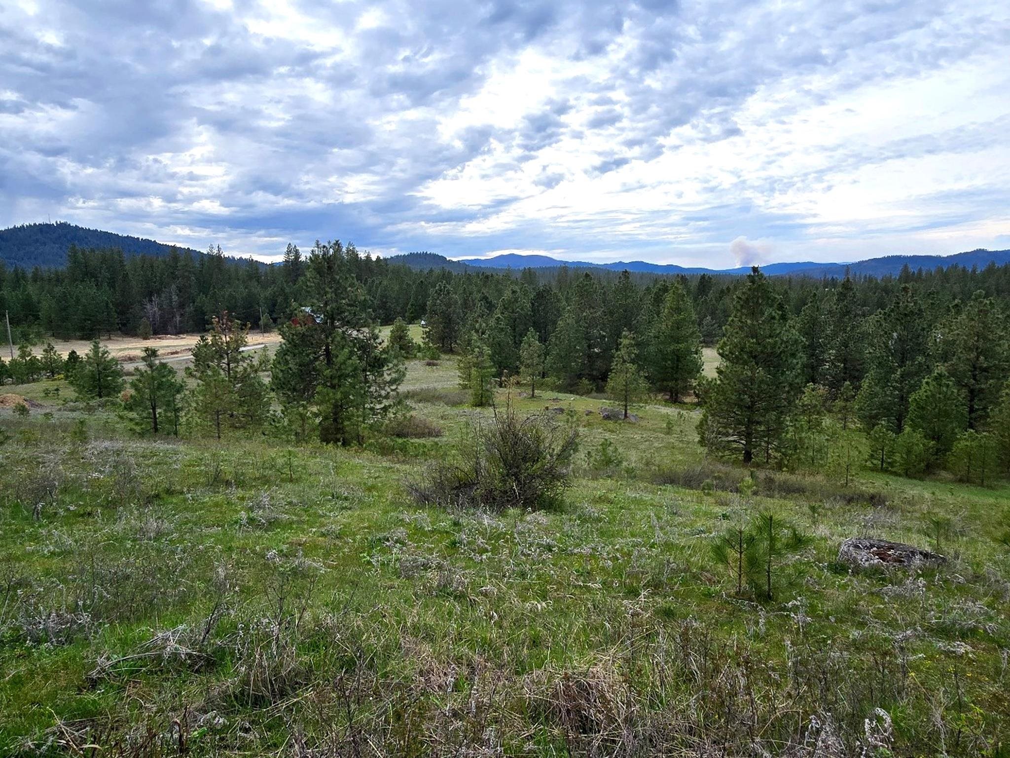 44xx Coles Barn Way - Photo 20