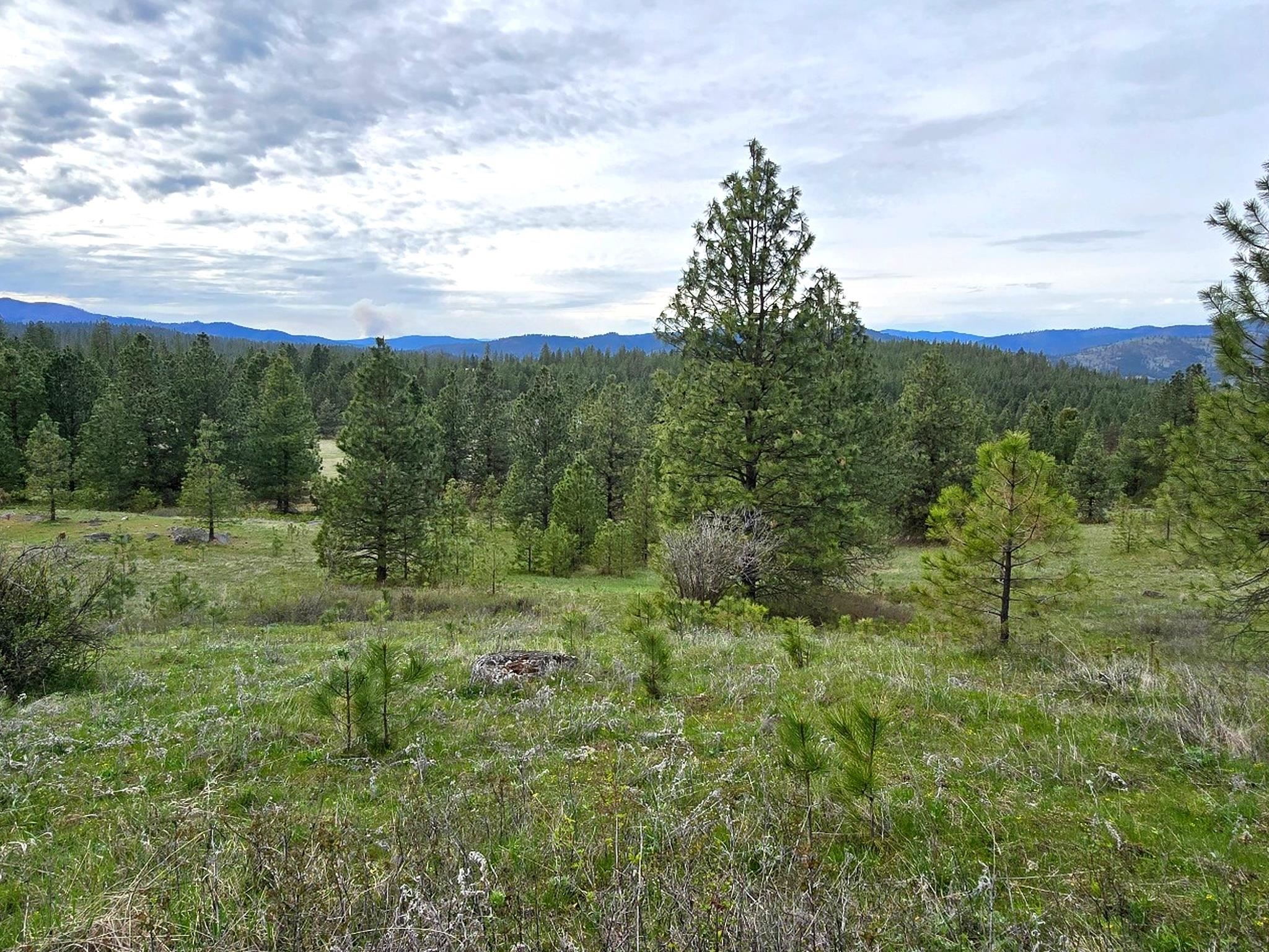 44xx Coles Barn Way - Photo 21