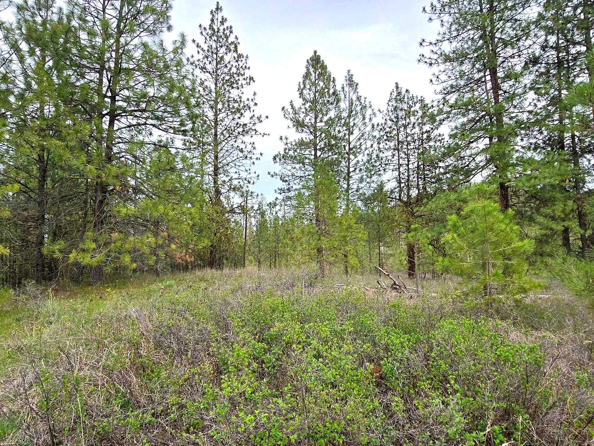 44xx Coles Barn Way - Photo 23
