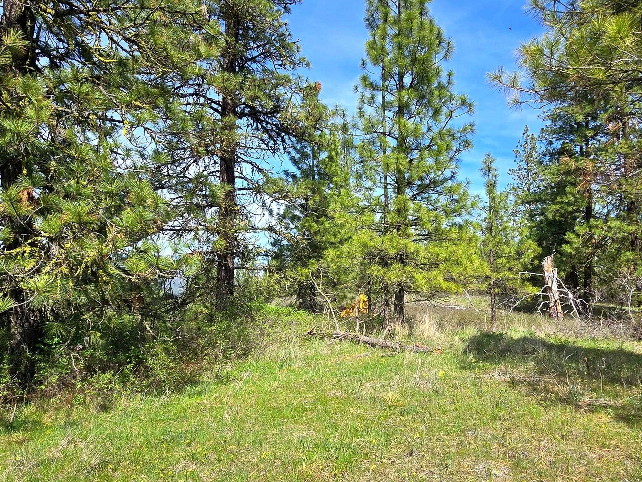 44xx Coles Barn Way - Photo 4