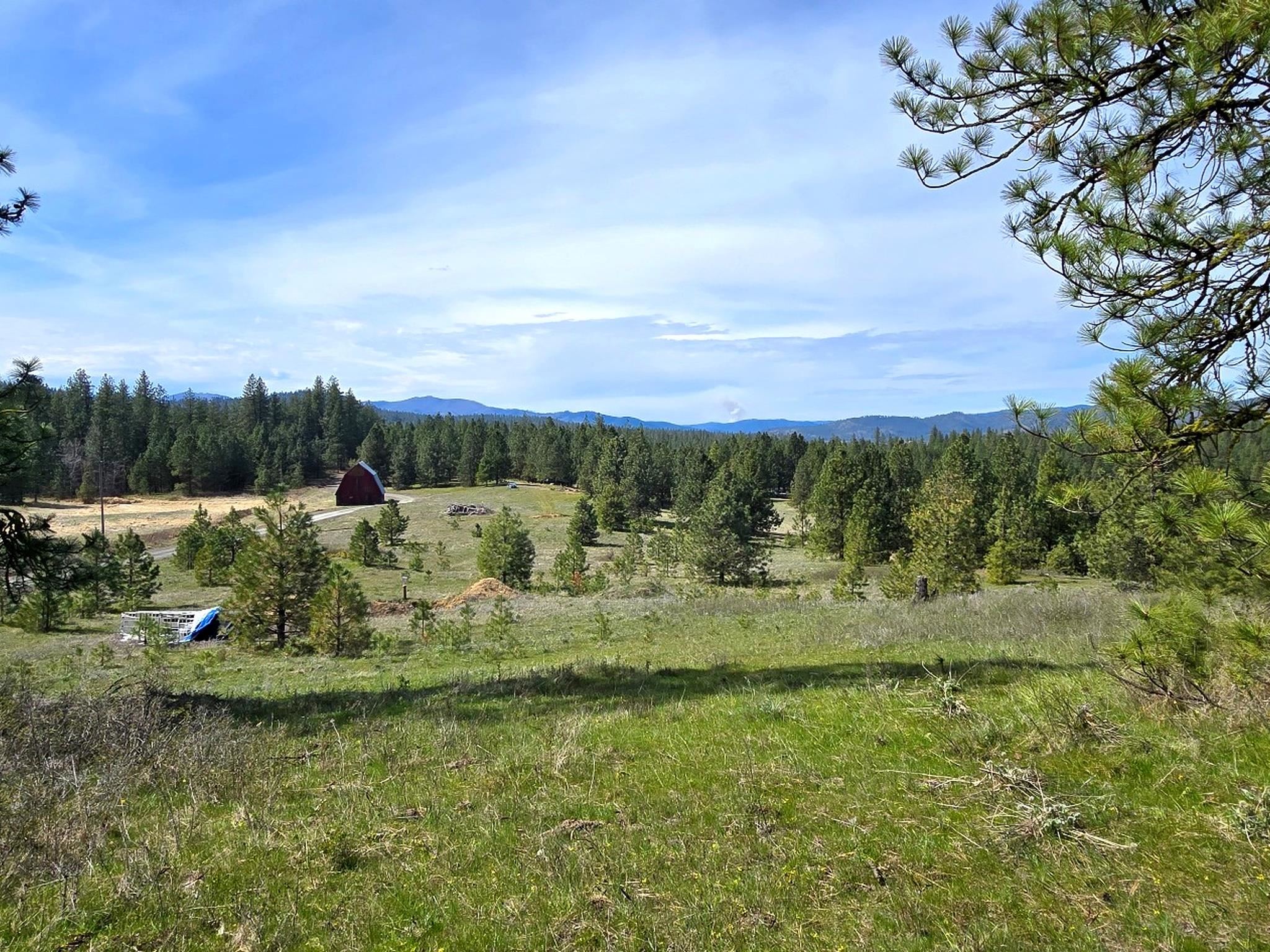 44xx Coles Barn Way - Photo 5