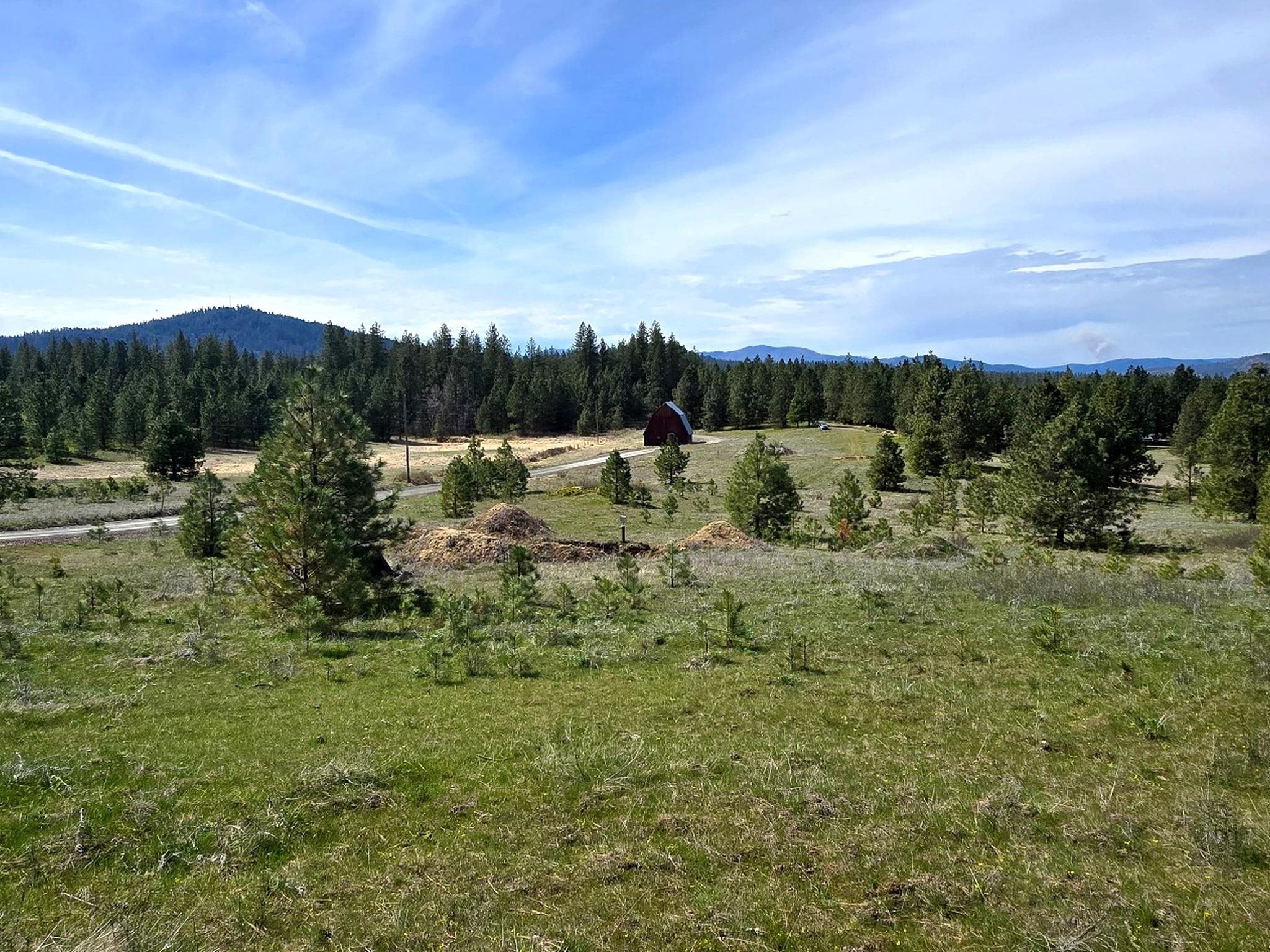 44xx Coles Barn Way - Photo 7