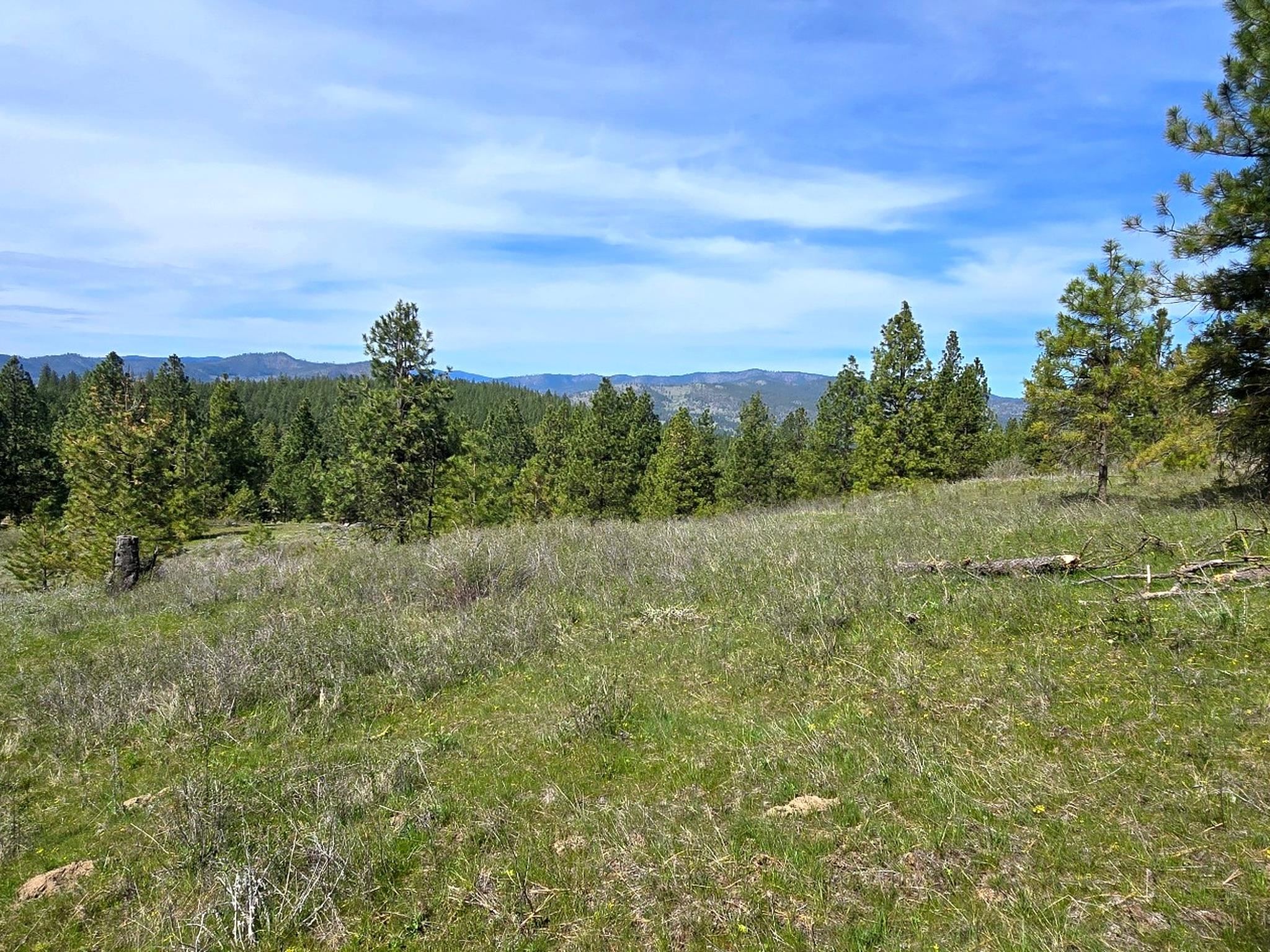 44xx Coles Barn Way - Photo 9