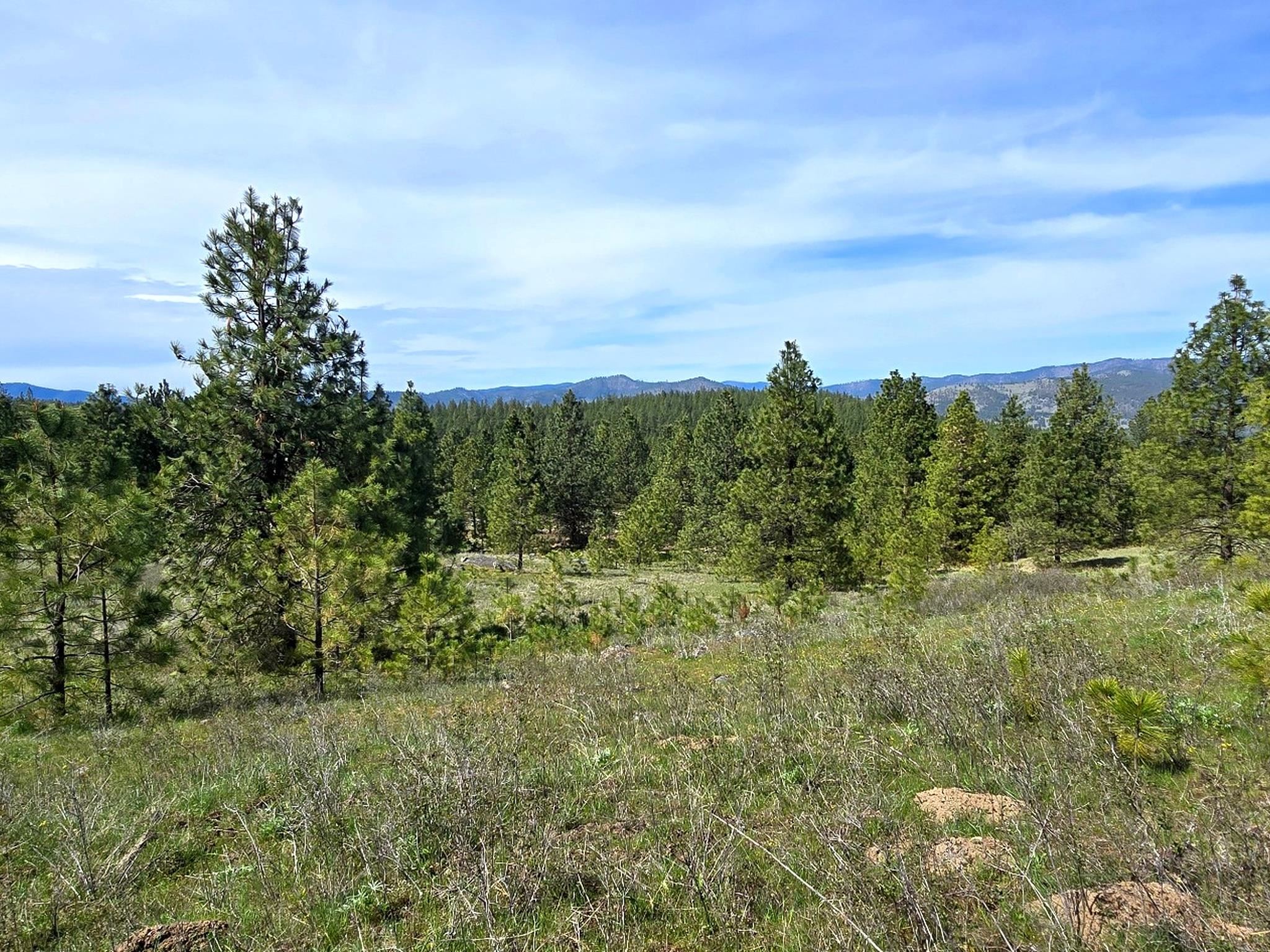 44xx Coles Barn Way - Photo 10