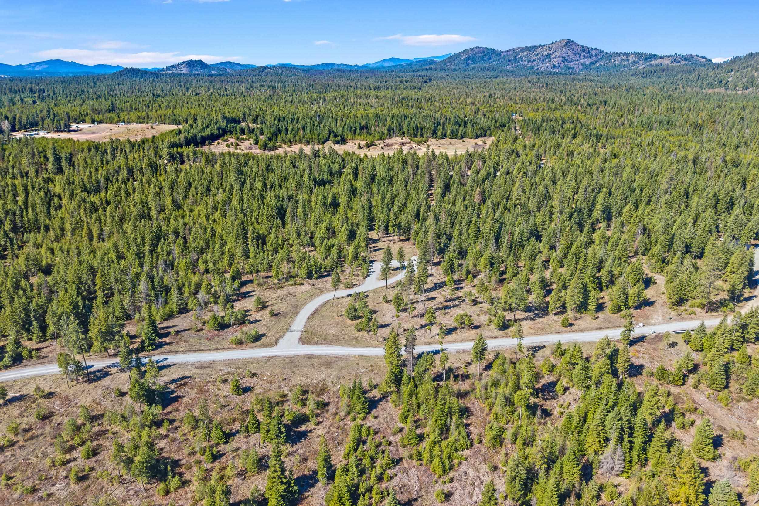 555 Happy Trails Ln - Photo 11