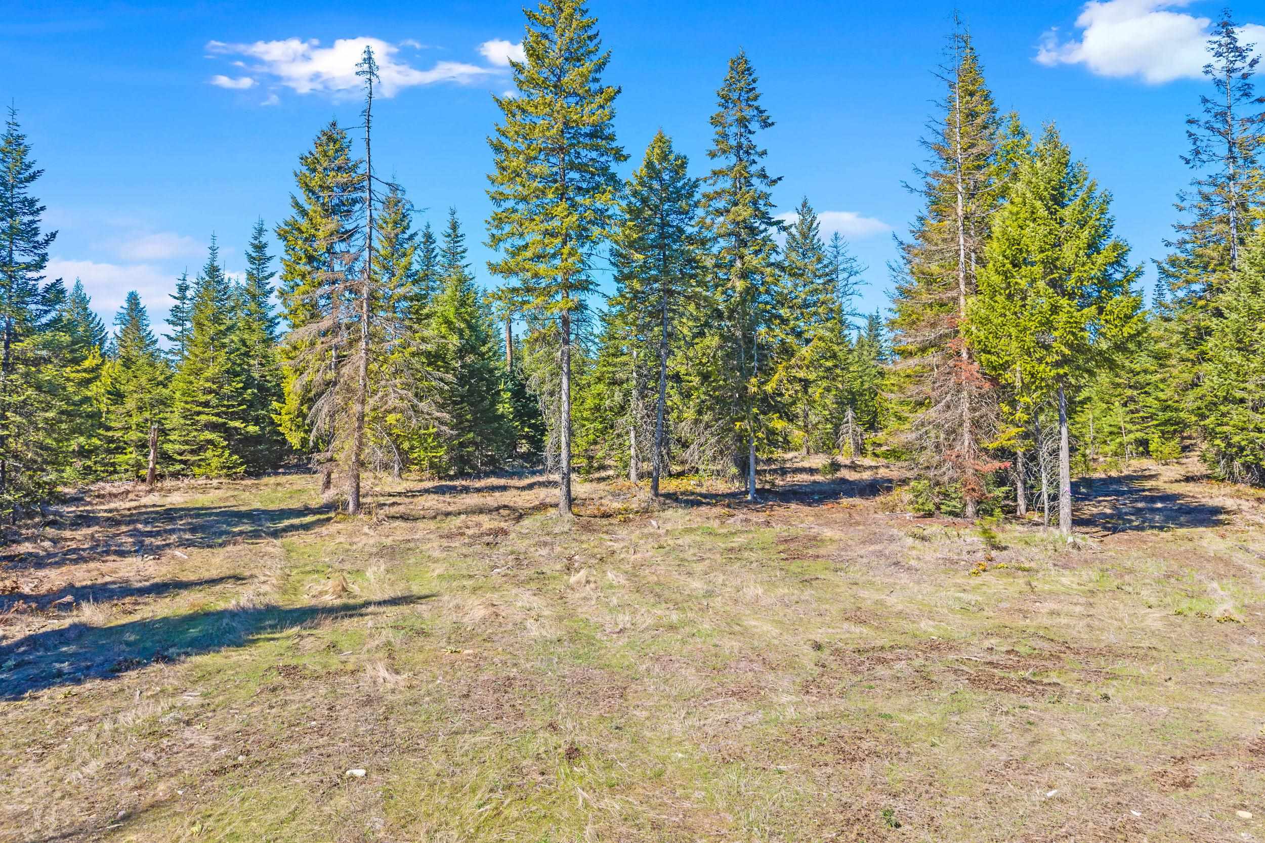 555 Happy Trails Ln - Photo 25